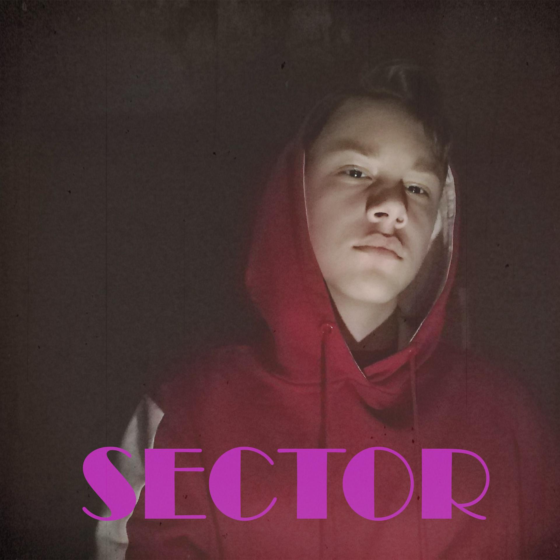 Постер альбома Sector