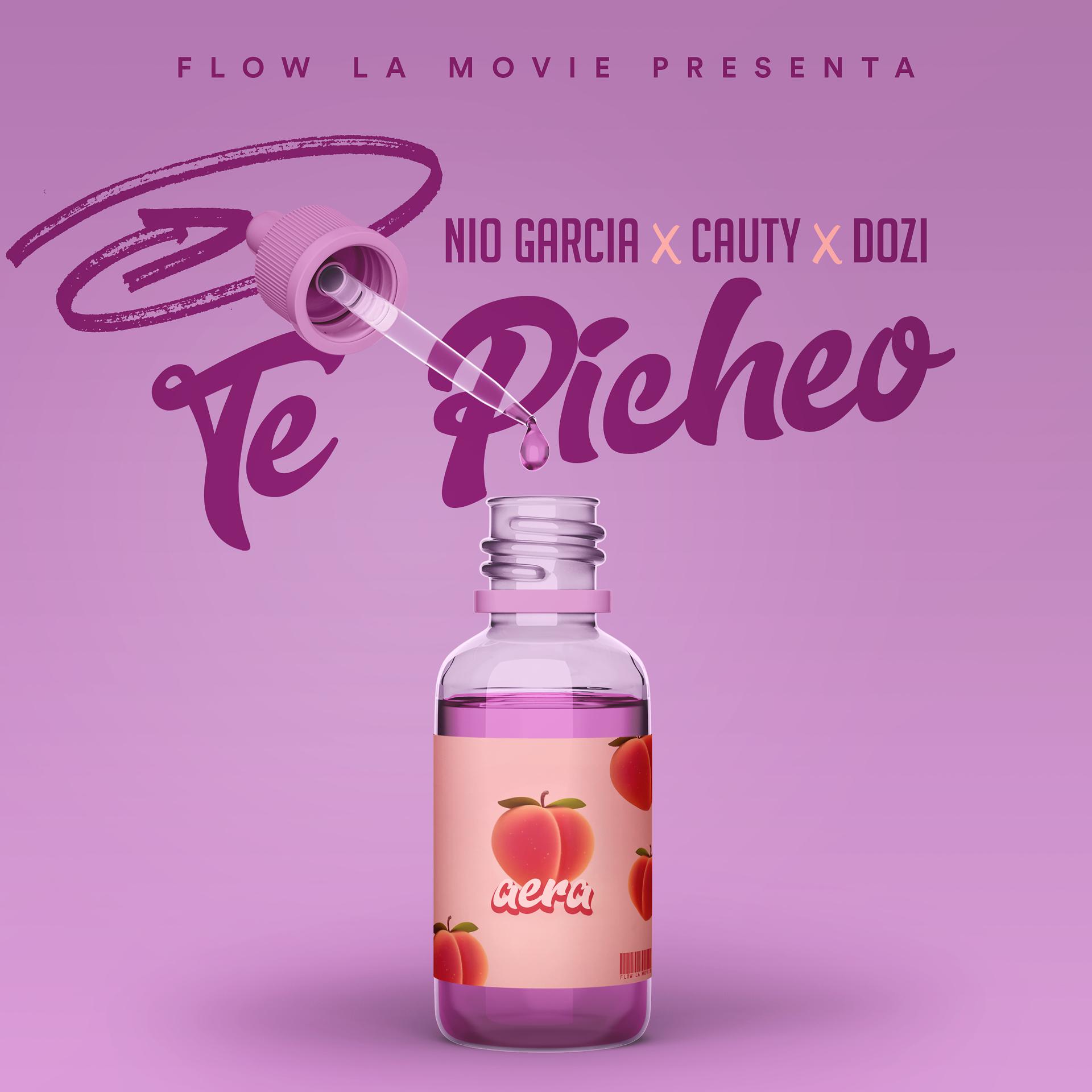 Постер альбома Te Picheo