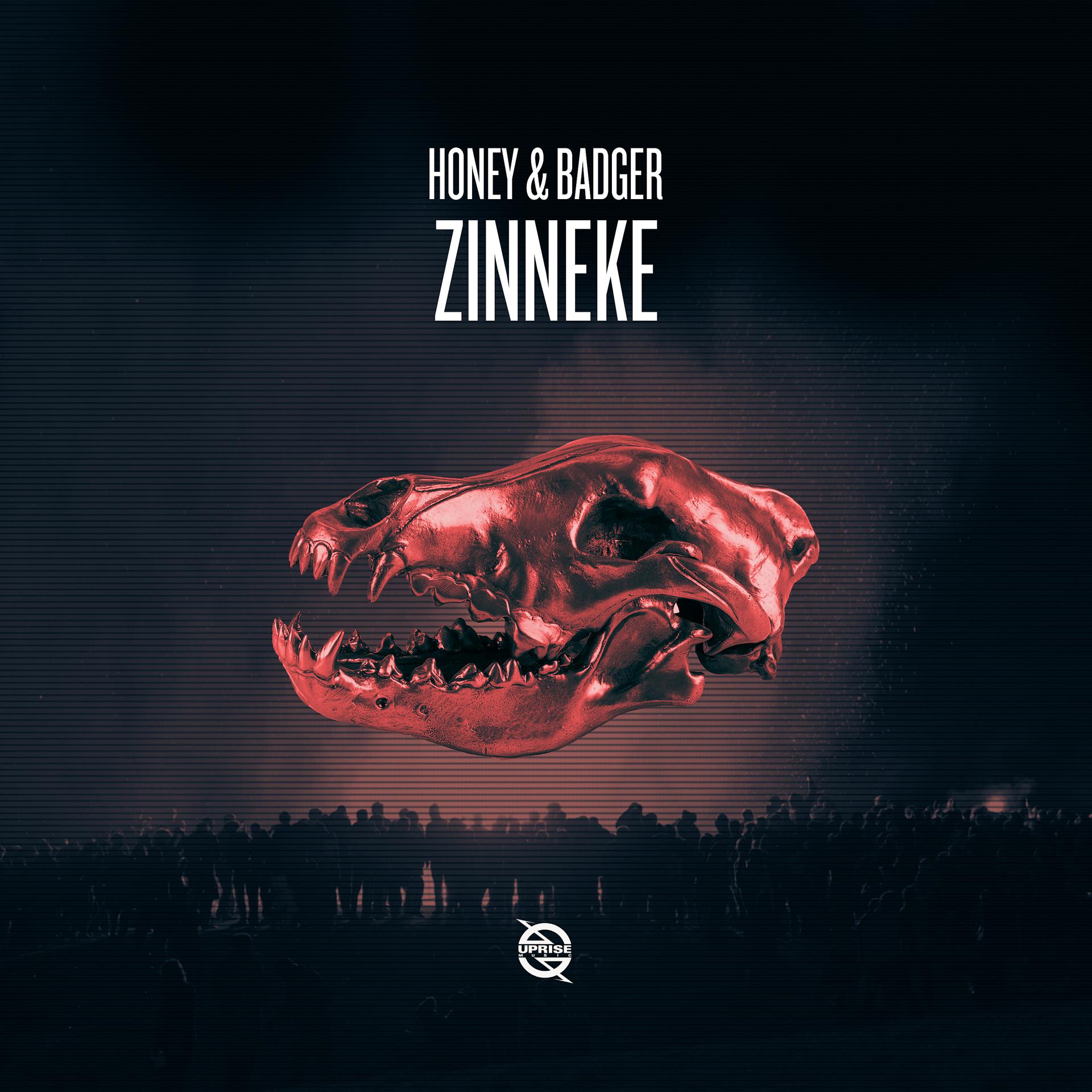 Постер альбома Zinneke