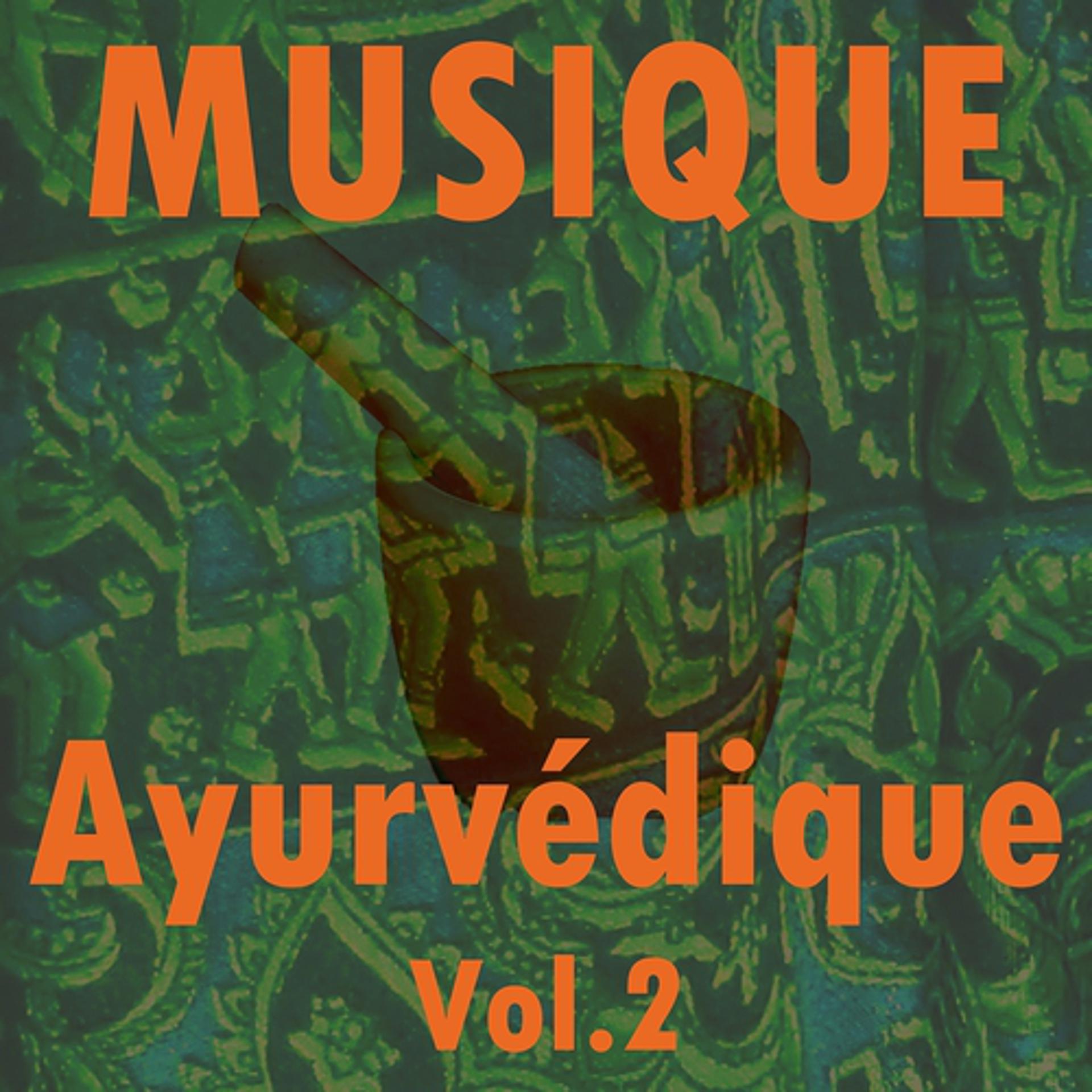 Постер альбома Musique ayurvédique, vol. 2
