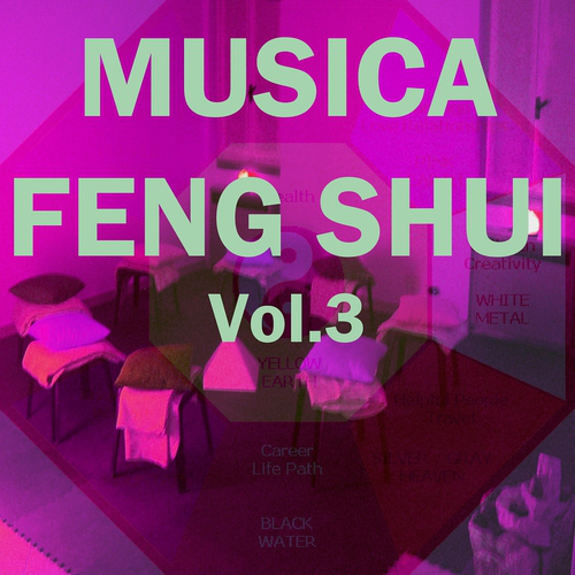 Постер альбома Musica feng shui, vol. 3