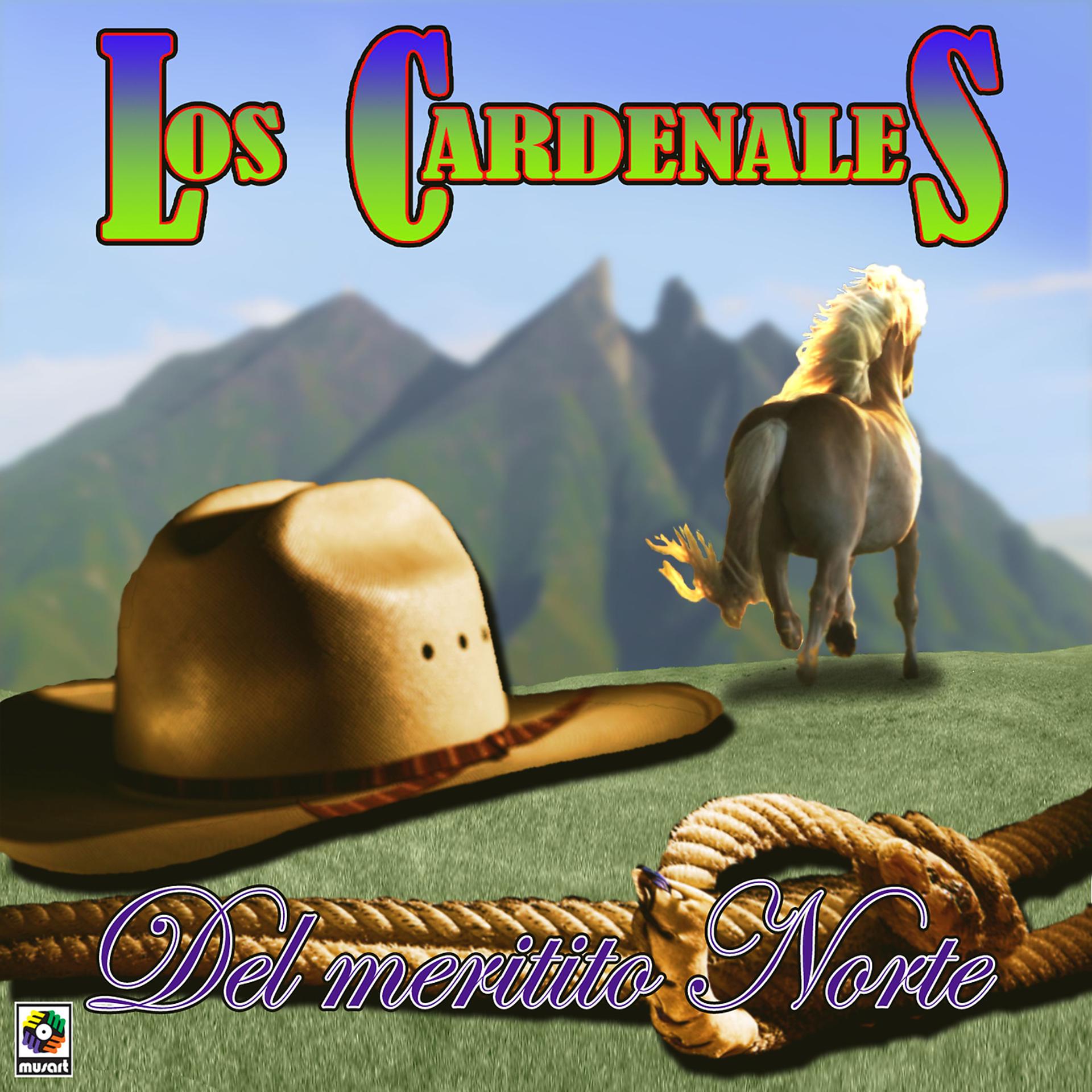 Постер альбома Del Meritito Norte