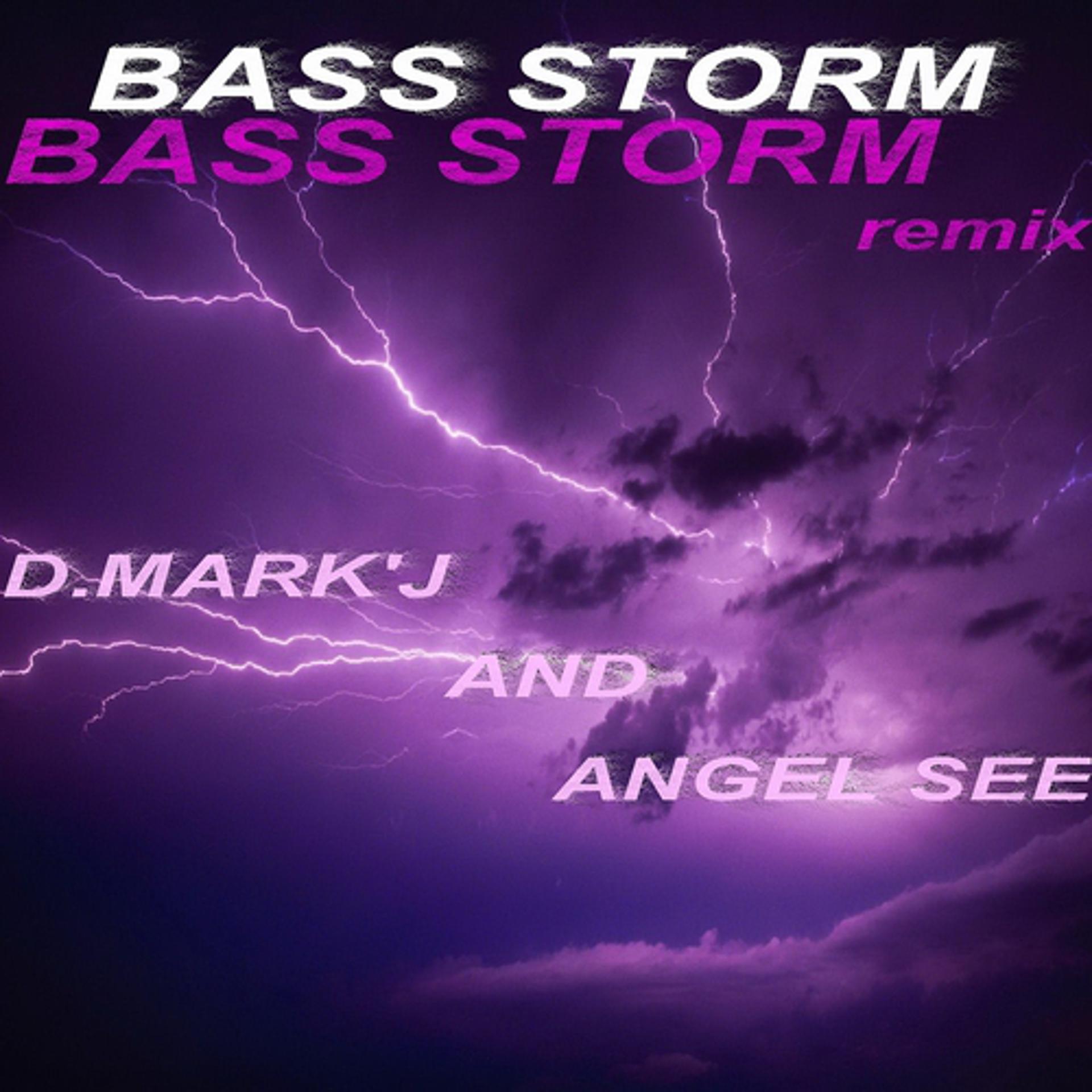 Постер альбома Bass storm