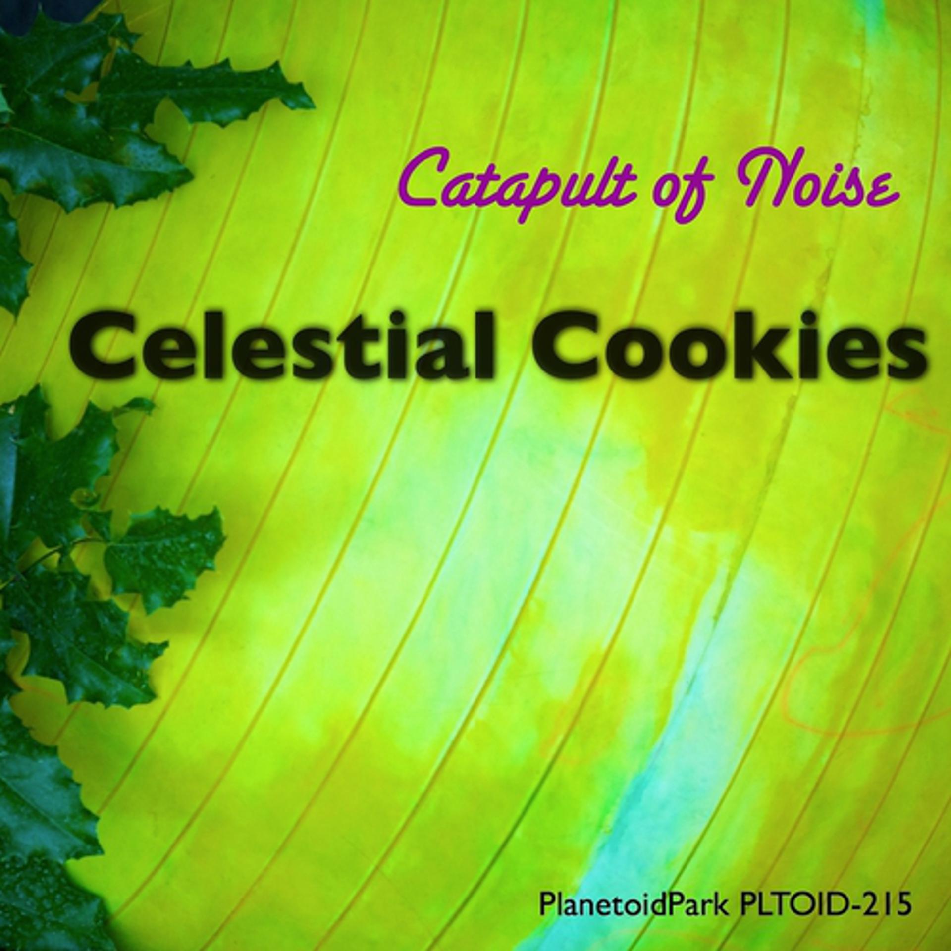 Постер альбома Celestial Cookies
