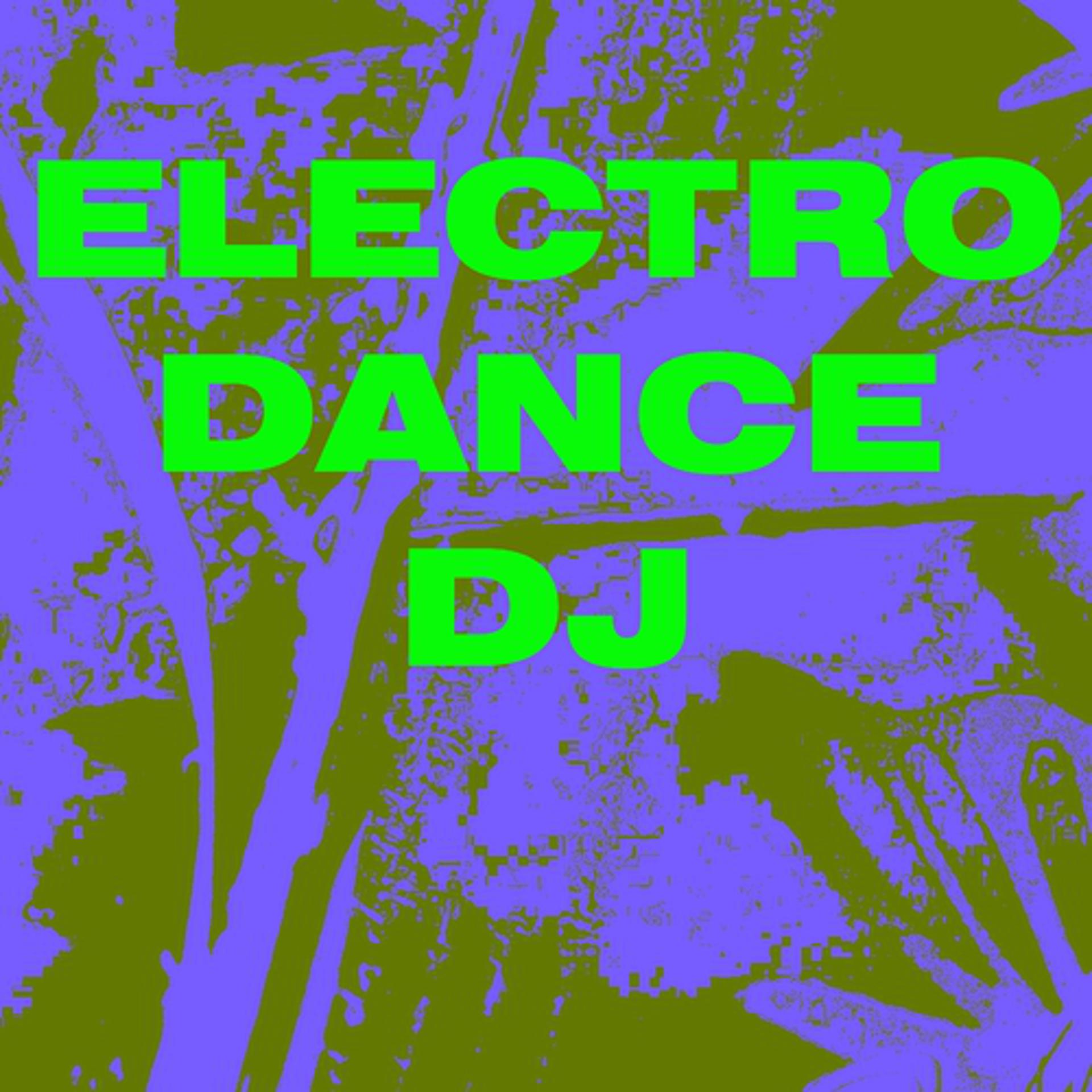 Постер альбома Electro Dance DJ