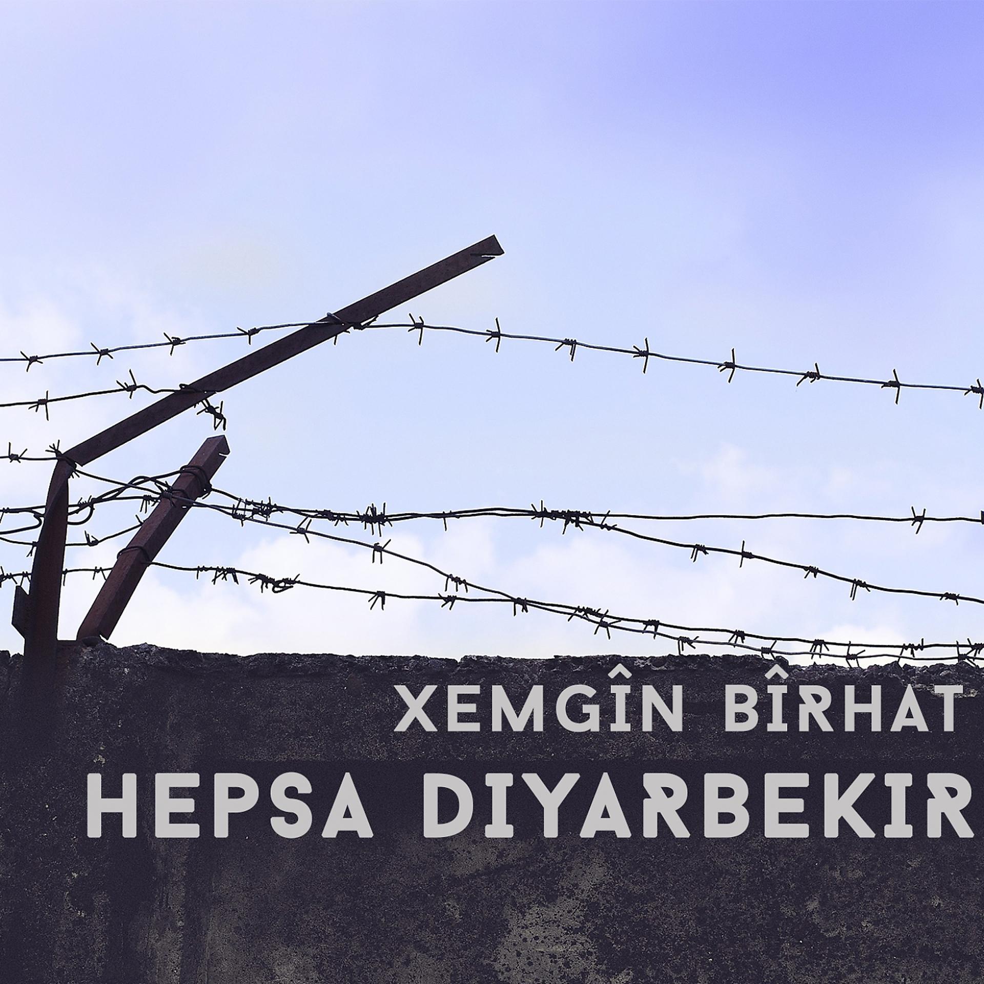 Постер альбома Hepsa Diyarbekir
