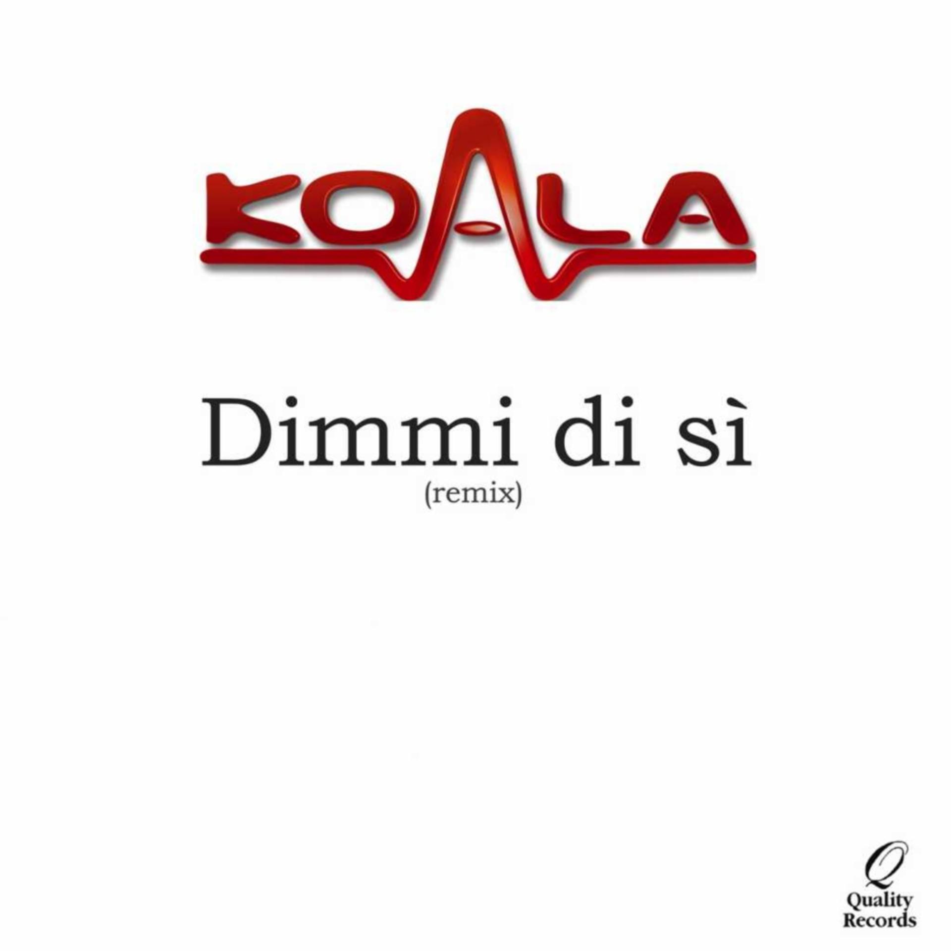 Постер альбома Dimmi di si