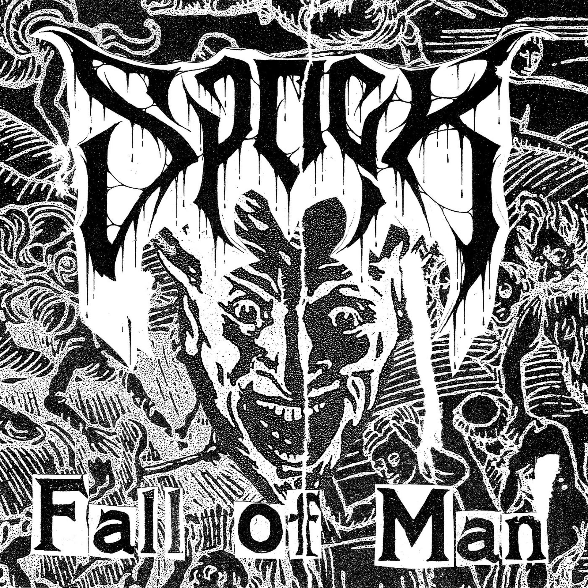 Постер альбома Fall of Man