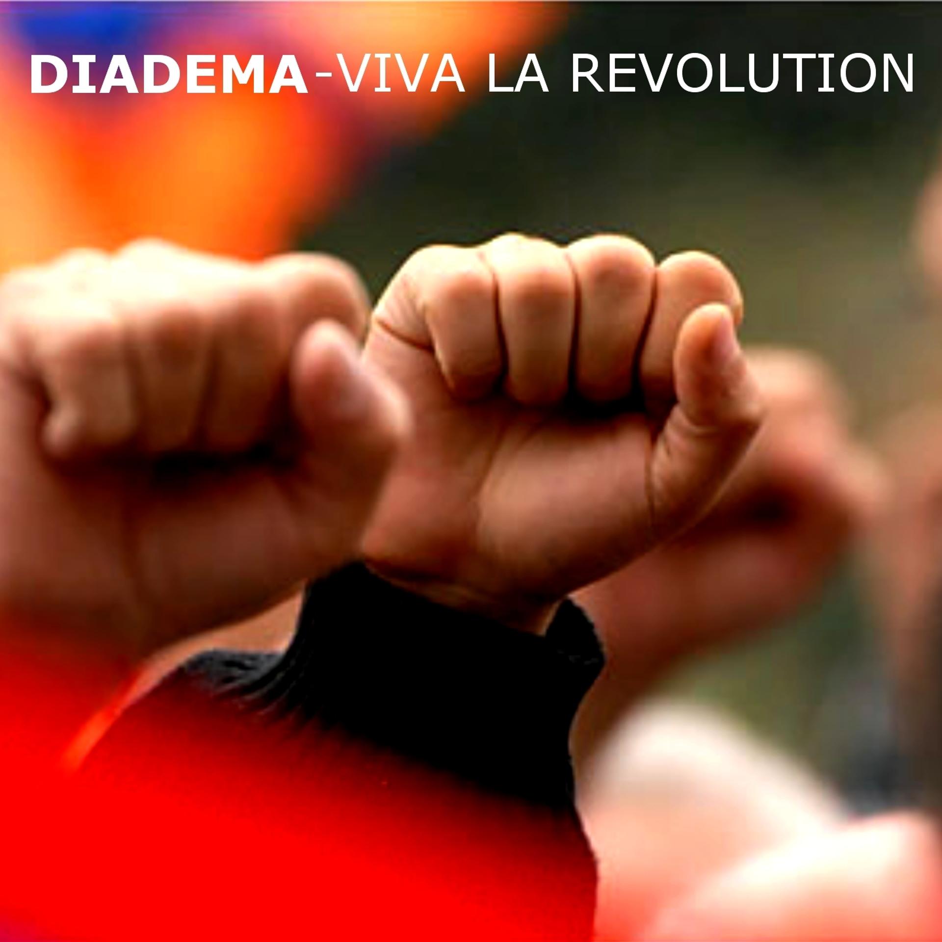Постер альбома Viva la Revolution