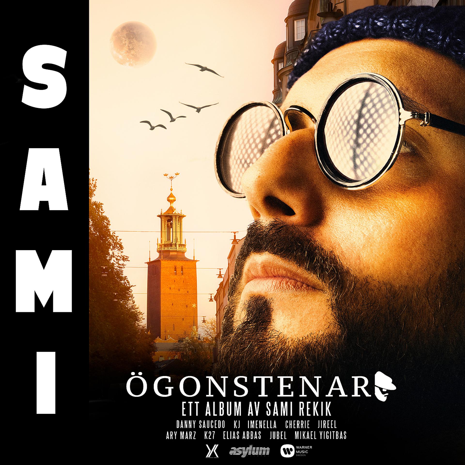 Постер альбома Ögonstenar