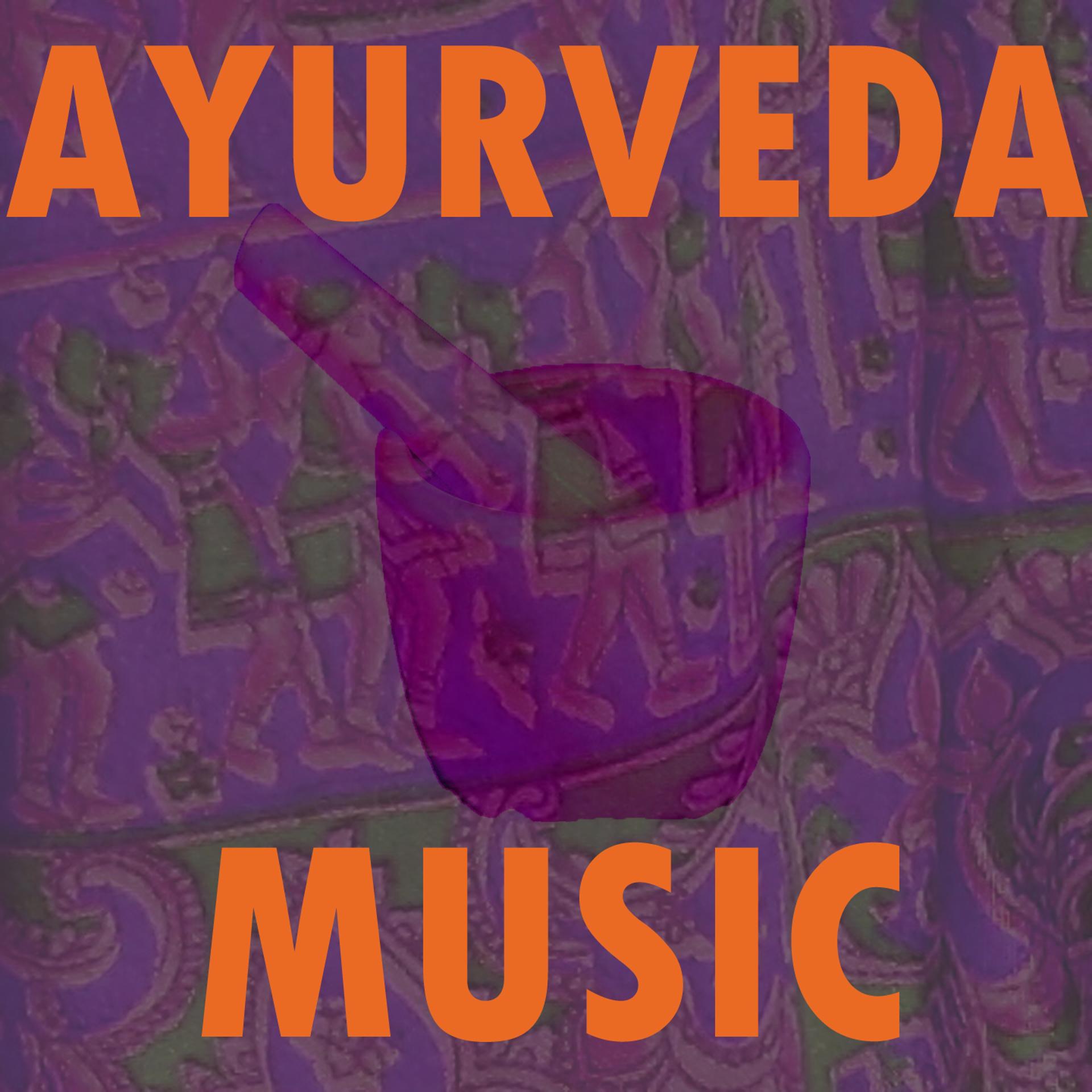 Постер альбома Ayurveda Music