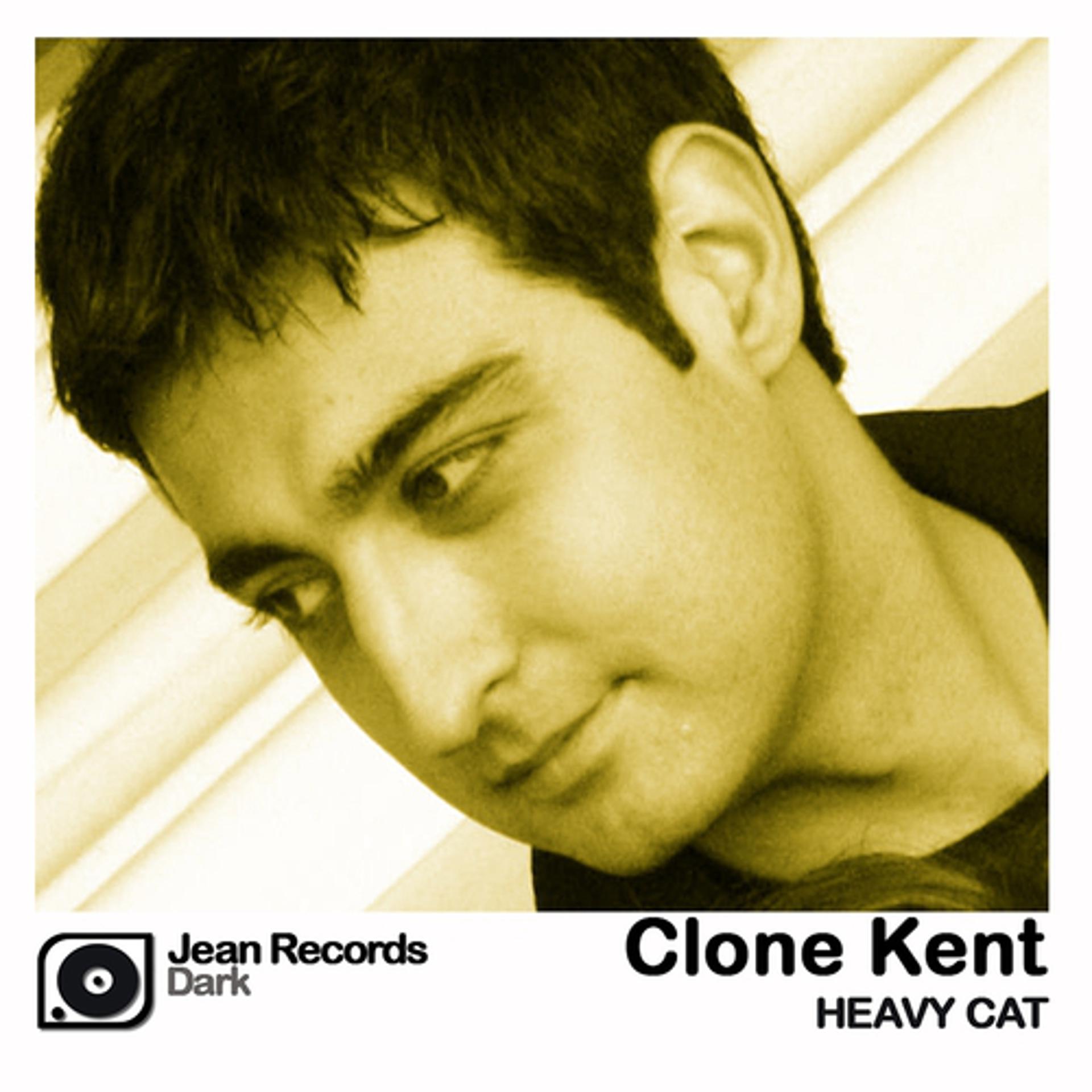 Постер альбома Heavy Cat
