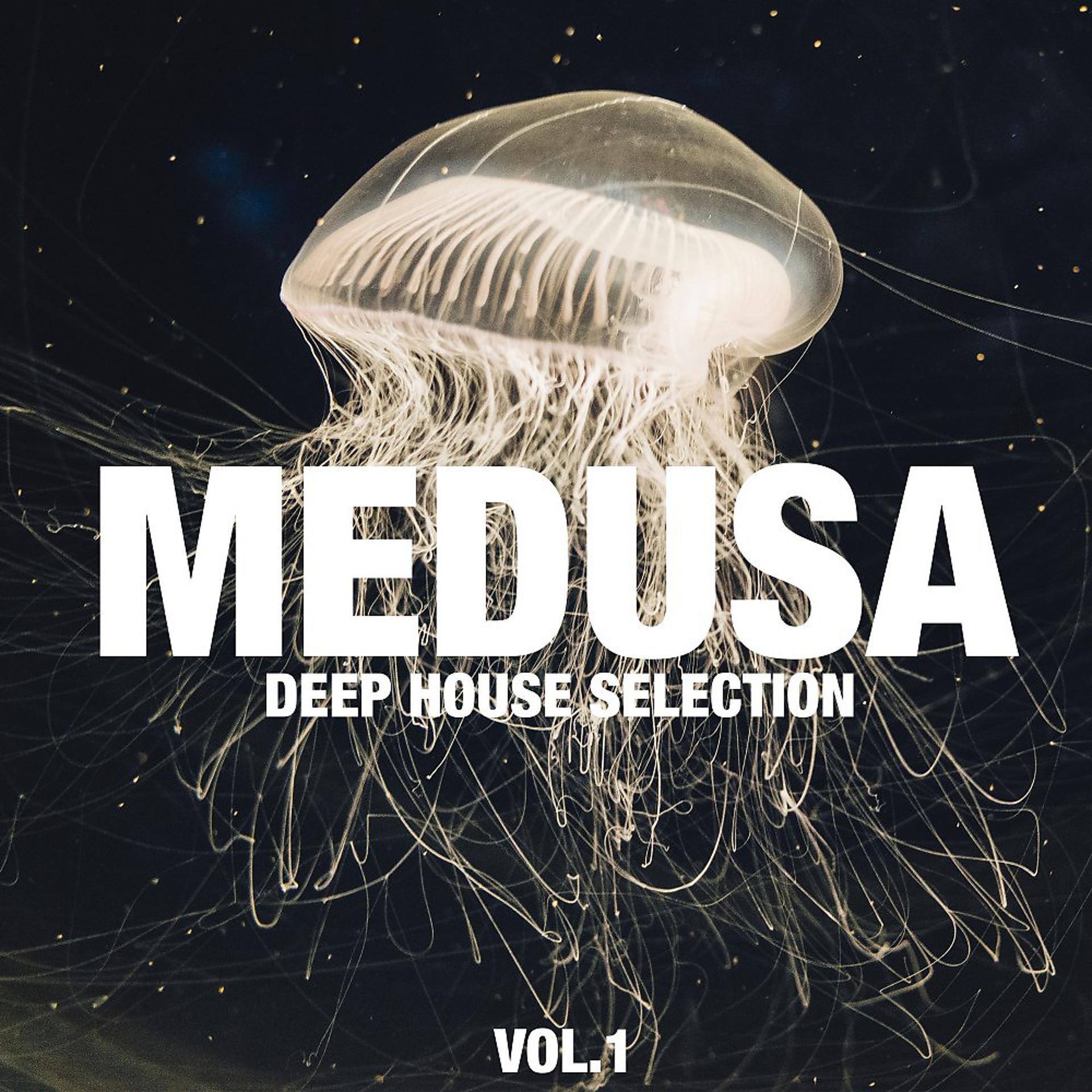 Постер альбома Medusa, Vol. 1 (Deep House Selection)