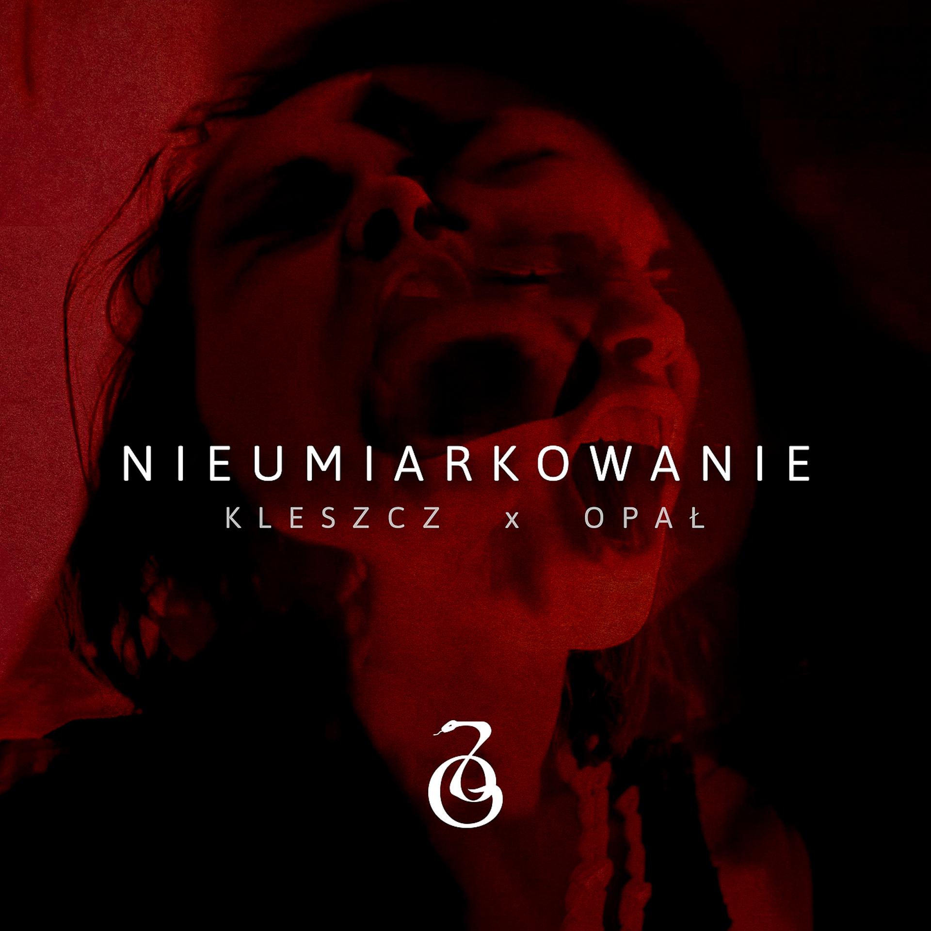 Постер альбома Nieumiarkowanie