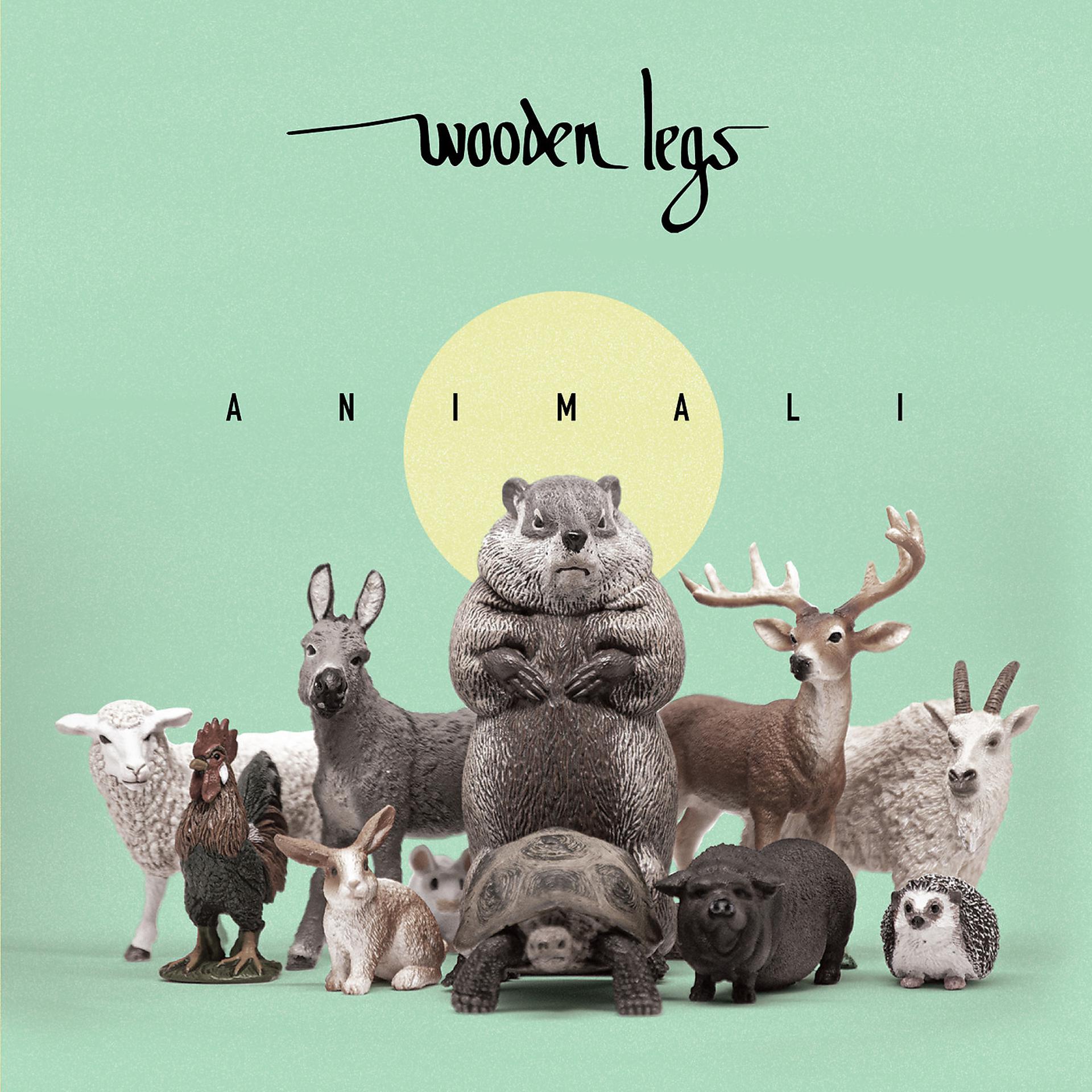 Постер альбома Animali
