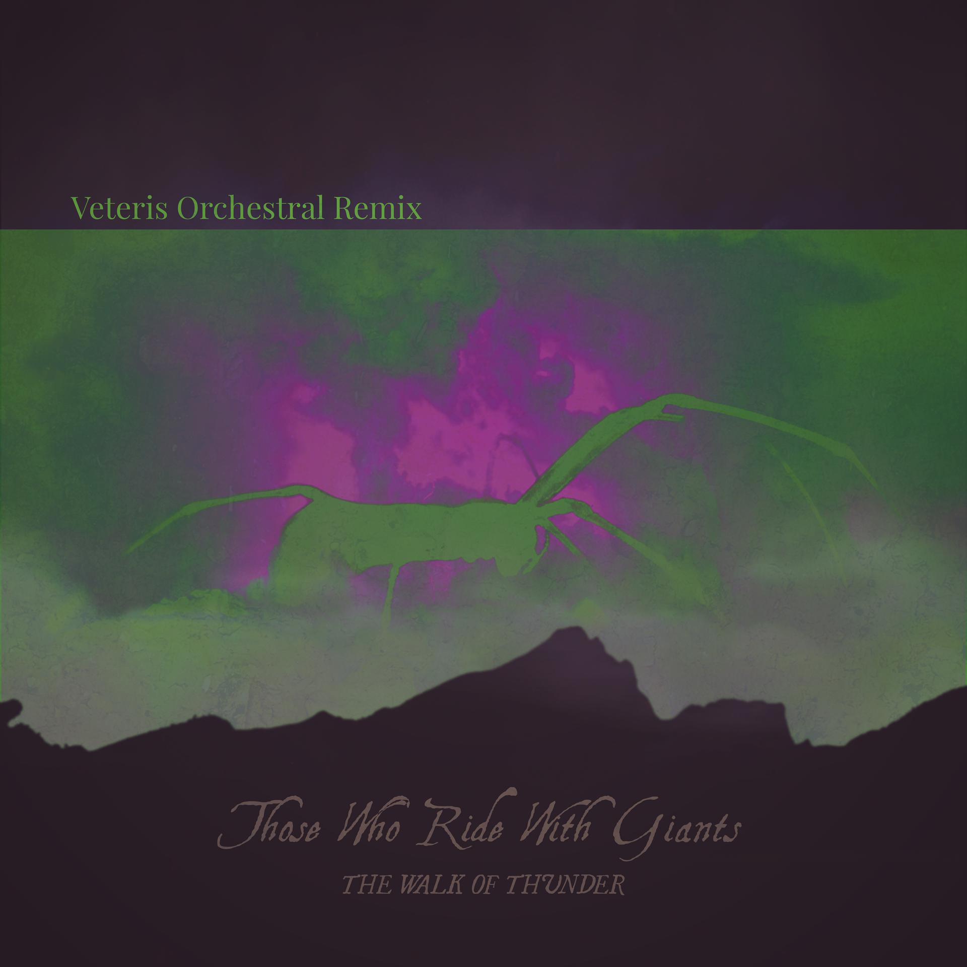 Постер альбома The Walk of Thunder (Veteris Orchestral Remix)