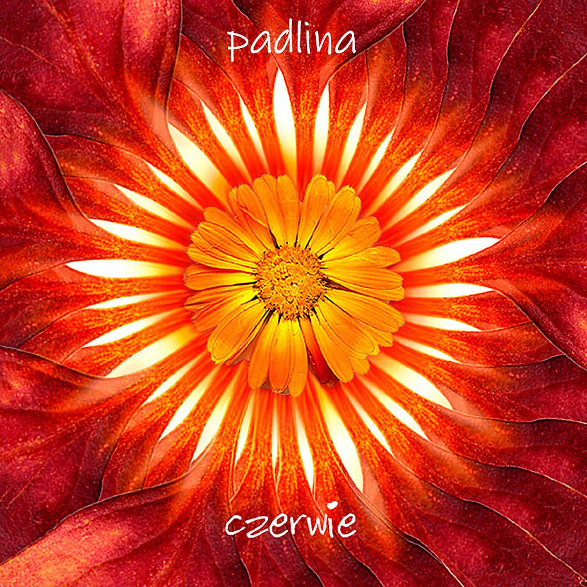 Постер альбома Padlina