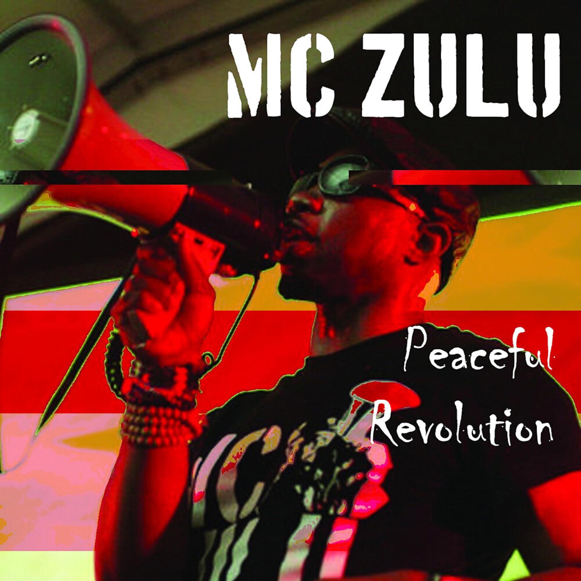 Постер альбома Peaceful Revolution