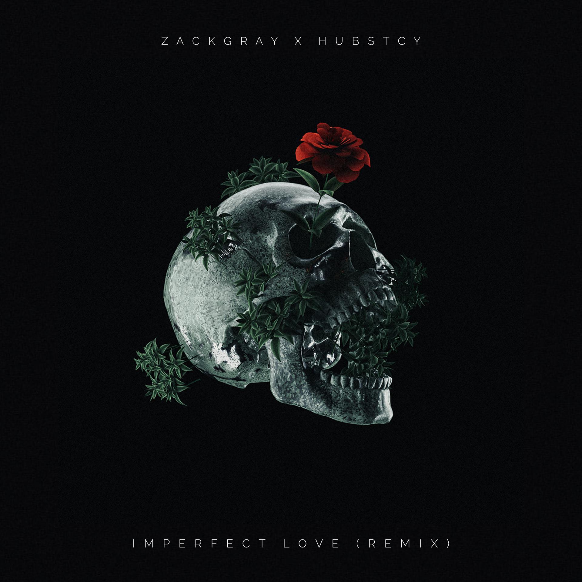 Постер альбома Imperfect Love (Hubstcy Remix)