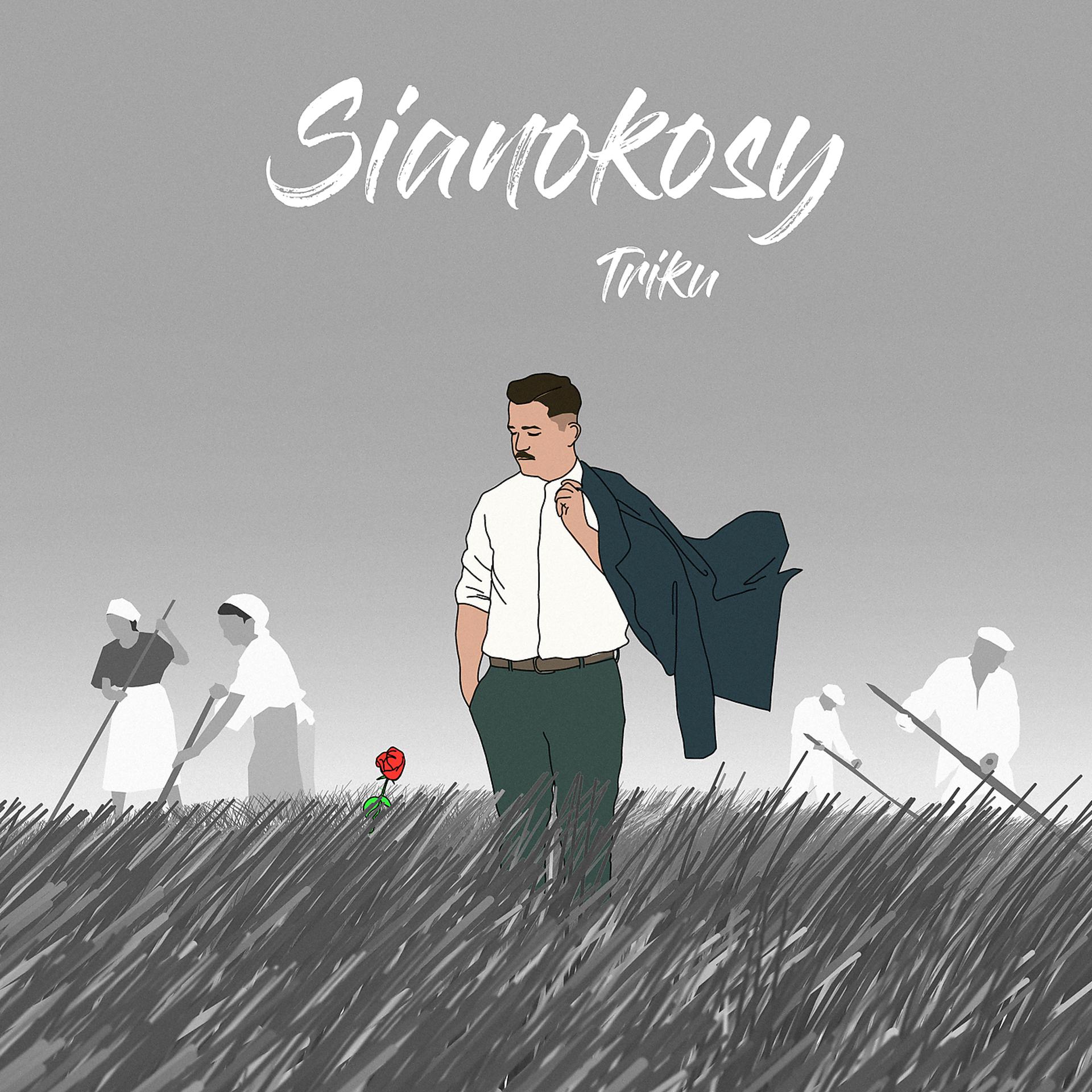 Постер альбома Sianokosy