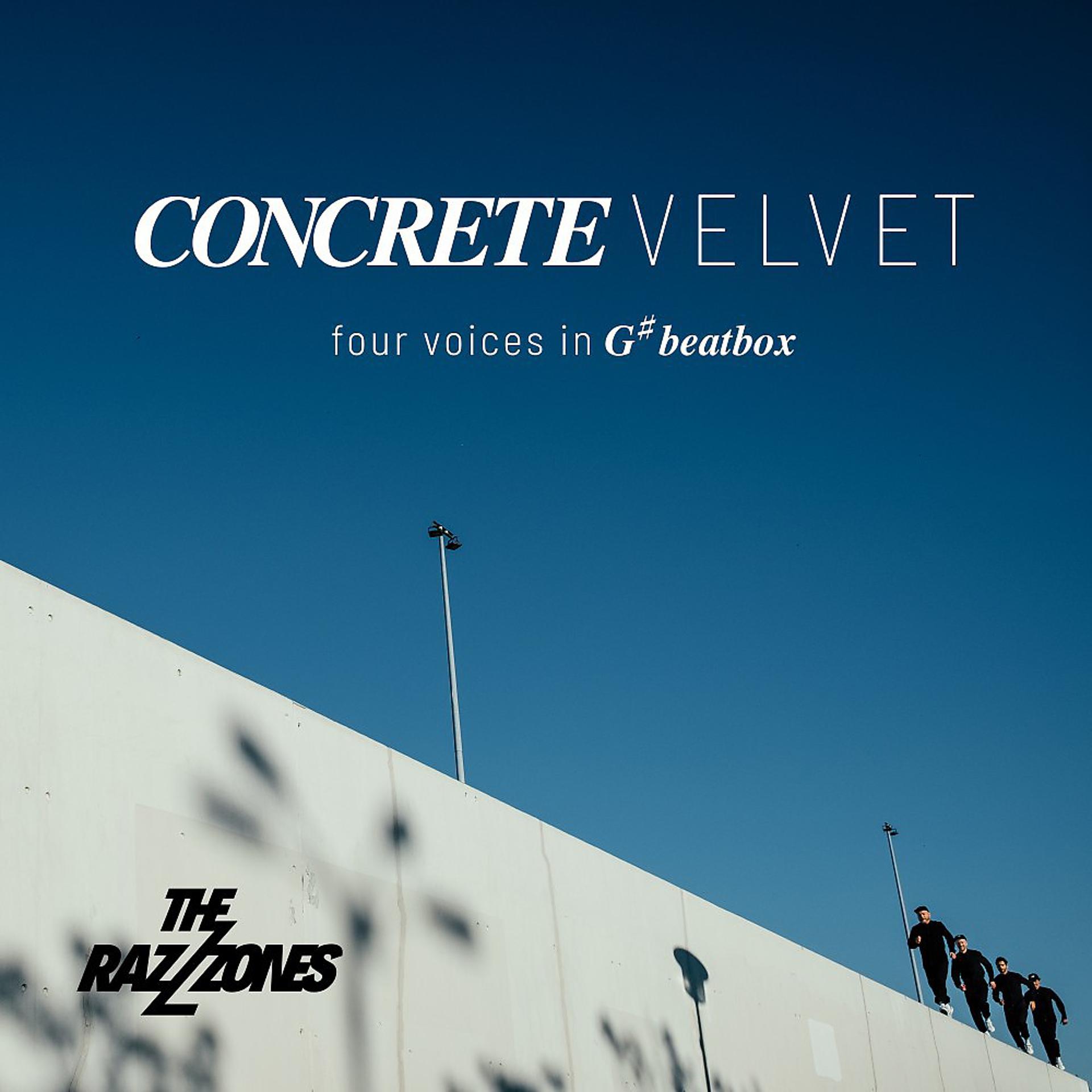 Постер альбома Concrete Velvet