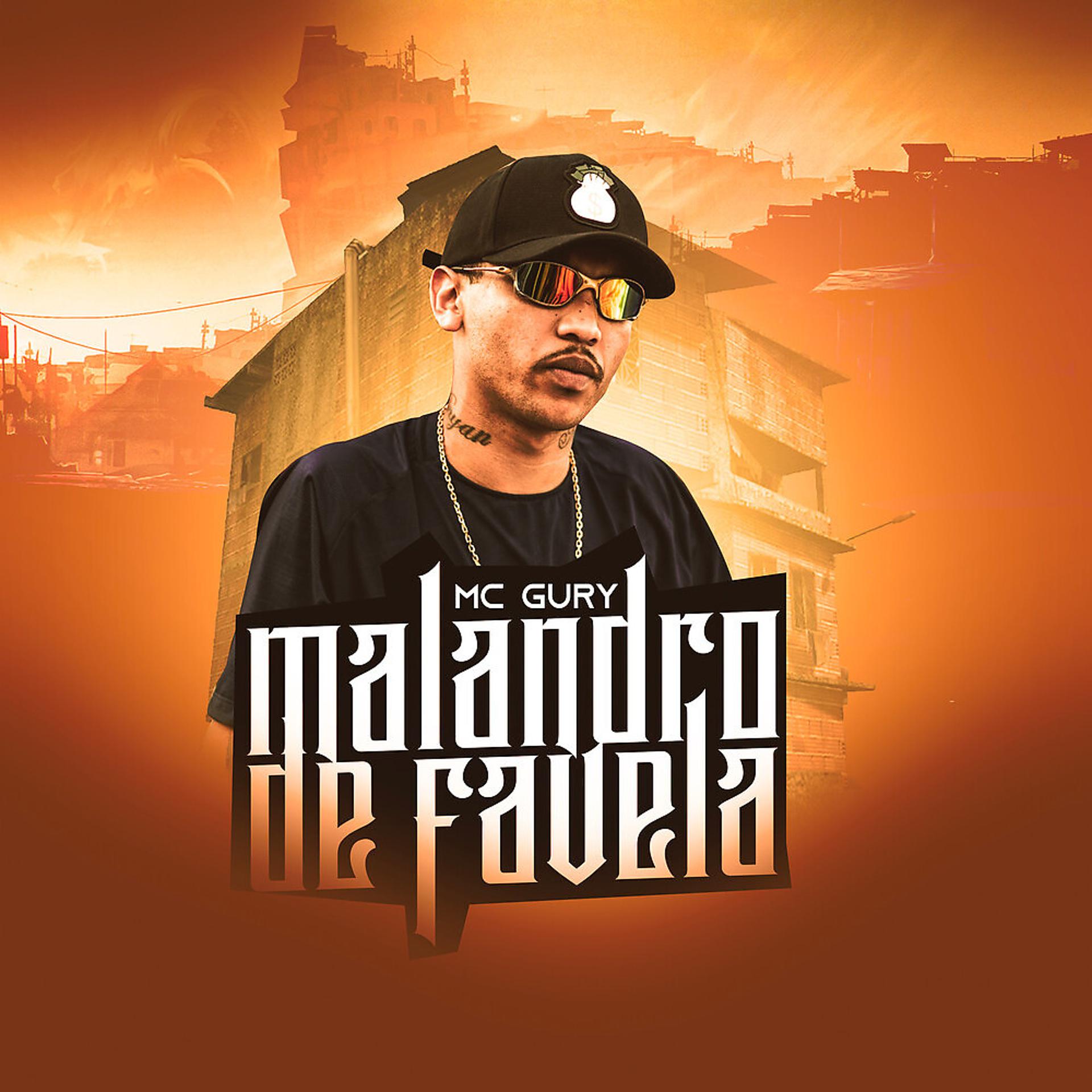Постер альбома Malandro De Favela