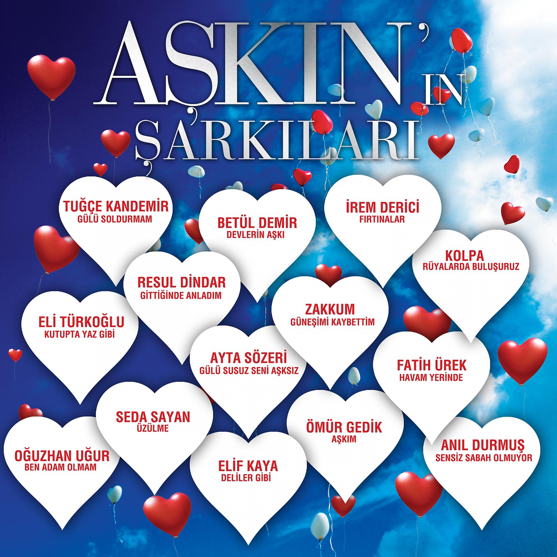 Постер альбома Aşkın'ın Şarkıları