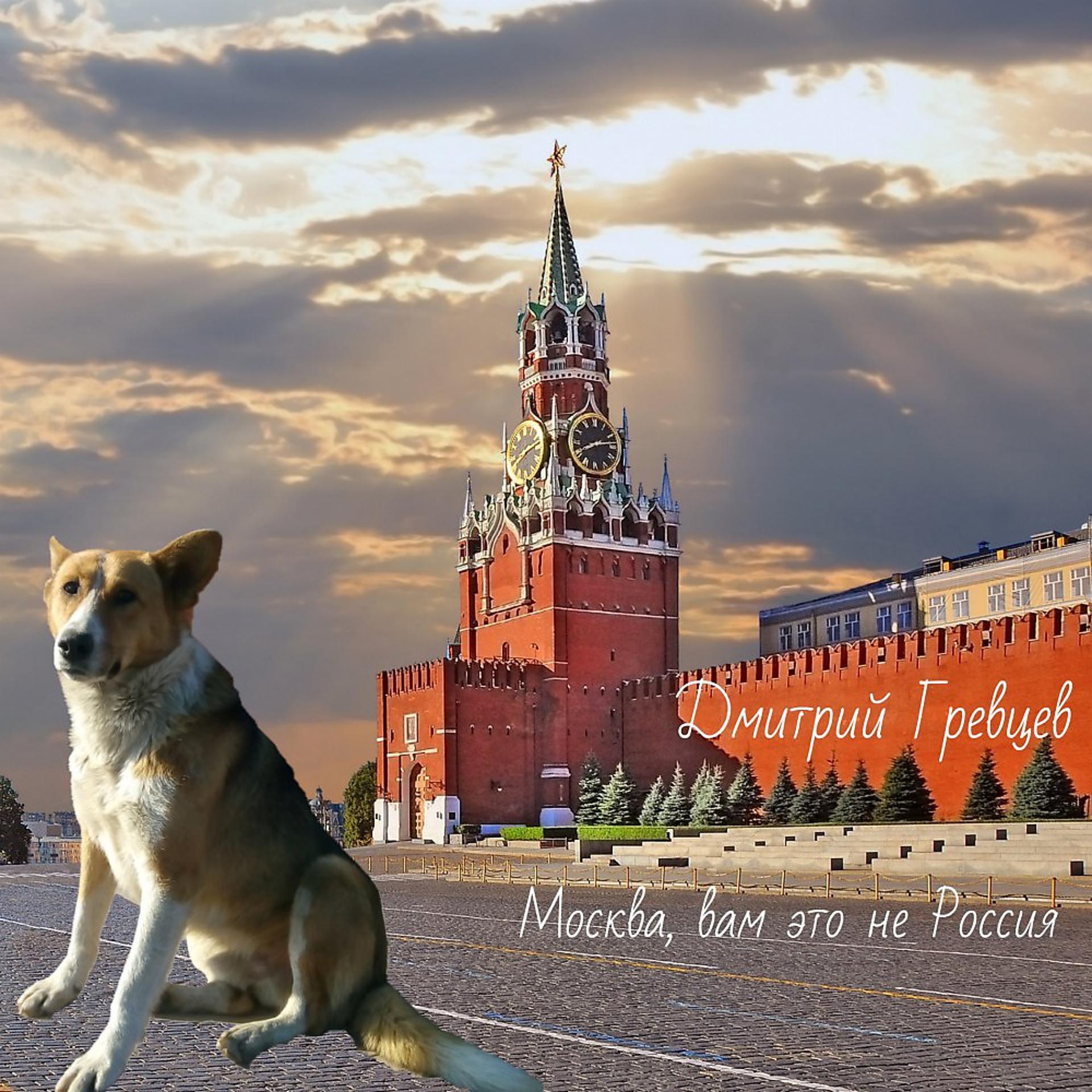Постер альбома Москва, вам это не Россия