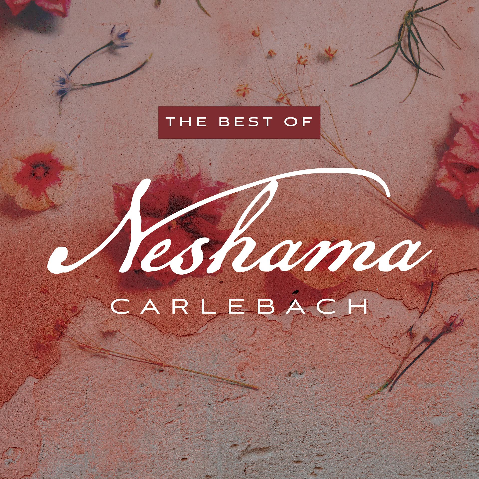 Постер альбома The Best of Neshama Carlebach