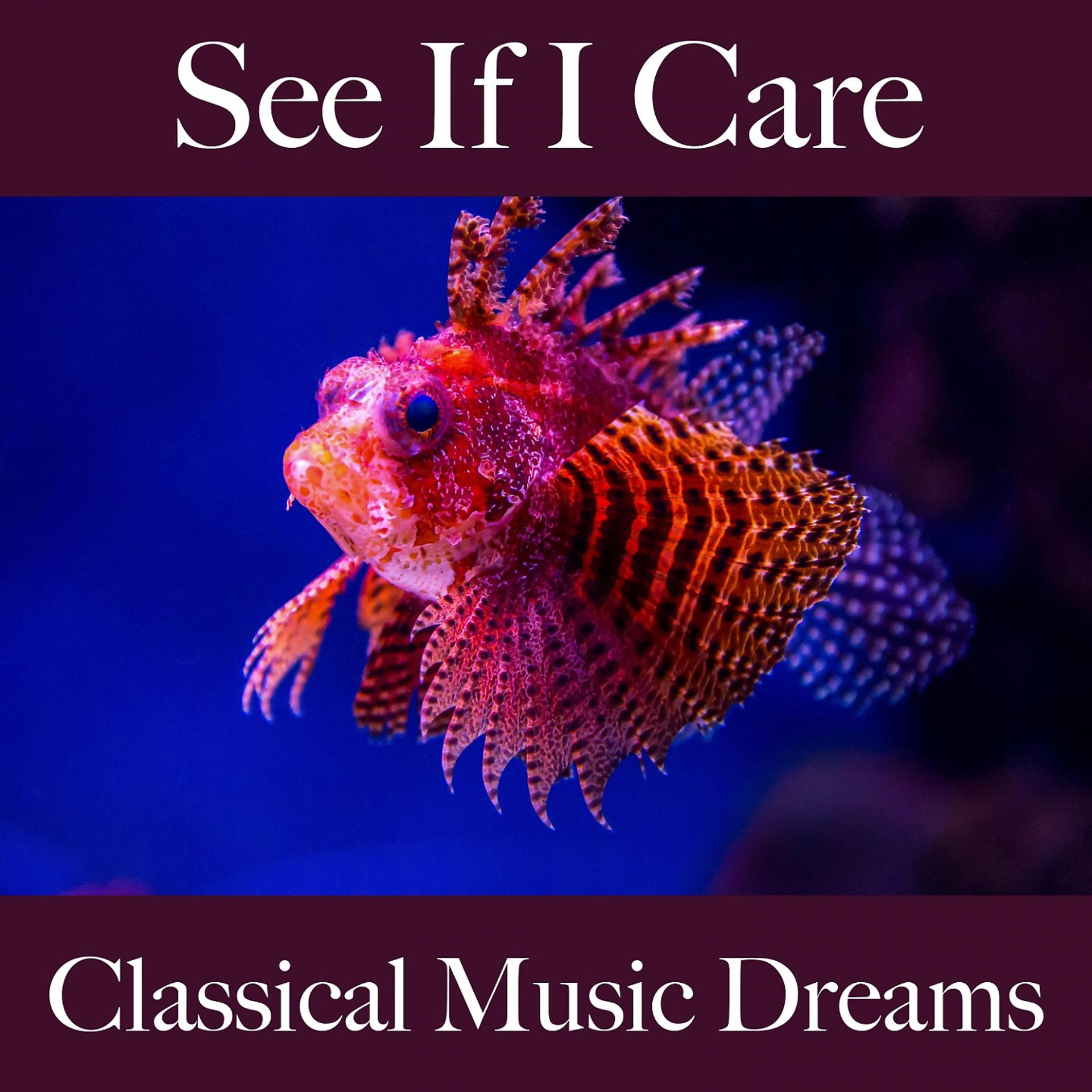 Постер альбома See If I Care: Classical Music Dreams - The Best Music For Feeling Better