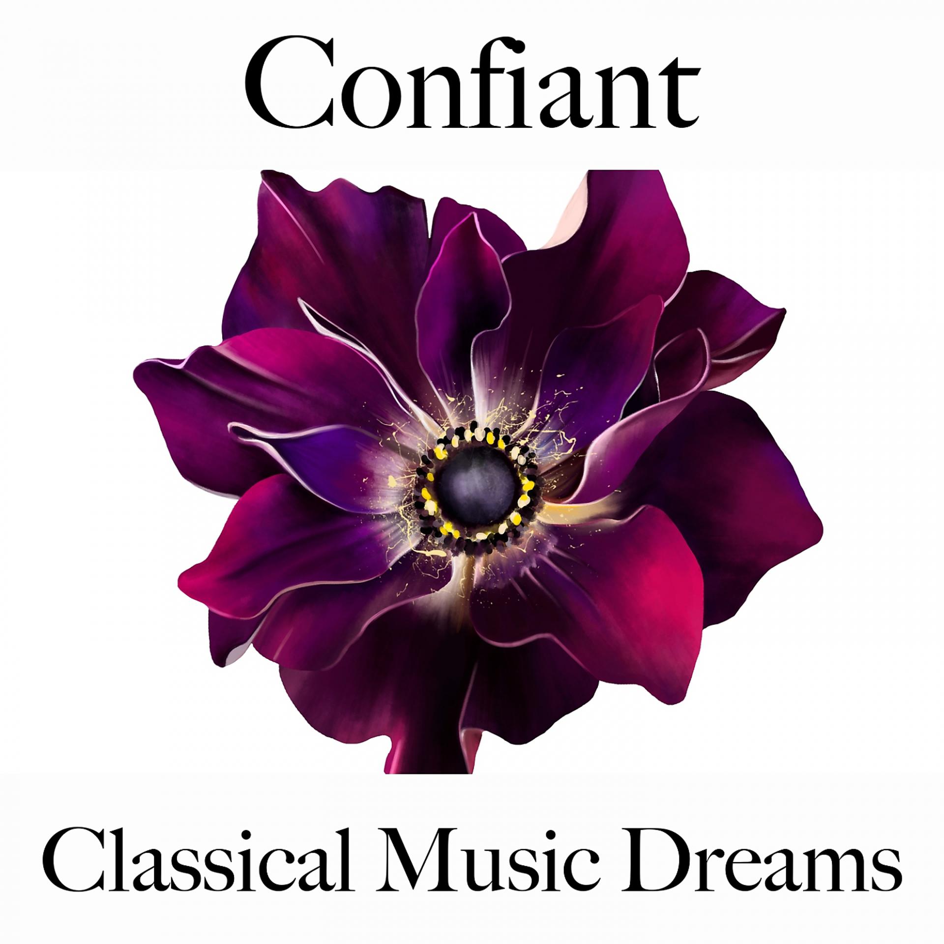 Постер альбома Confiant: Classical Music Dreams - La Meilleure Musique Pour Se Détendre