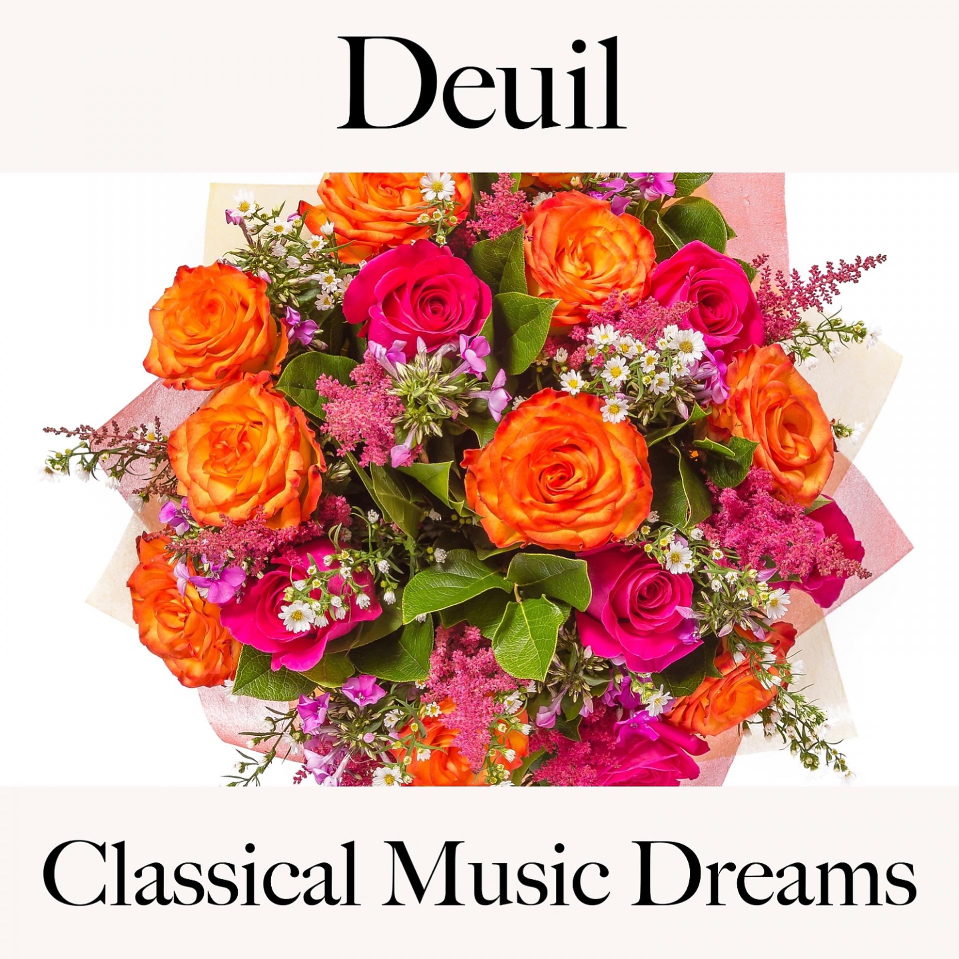 Постер альбома Deuil: Classical Music Dreams - La Meilleure Musique Pour Se Sentir Mieux