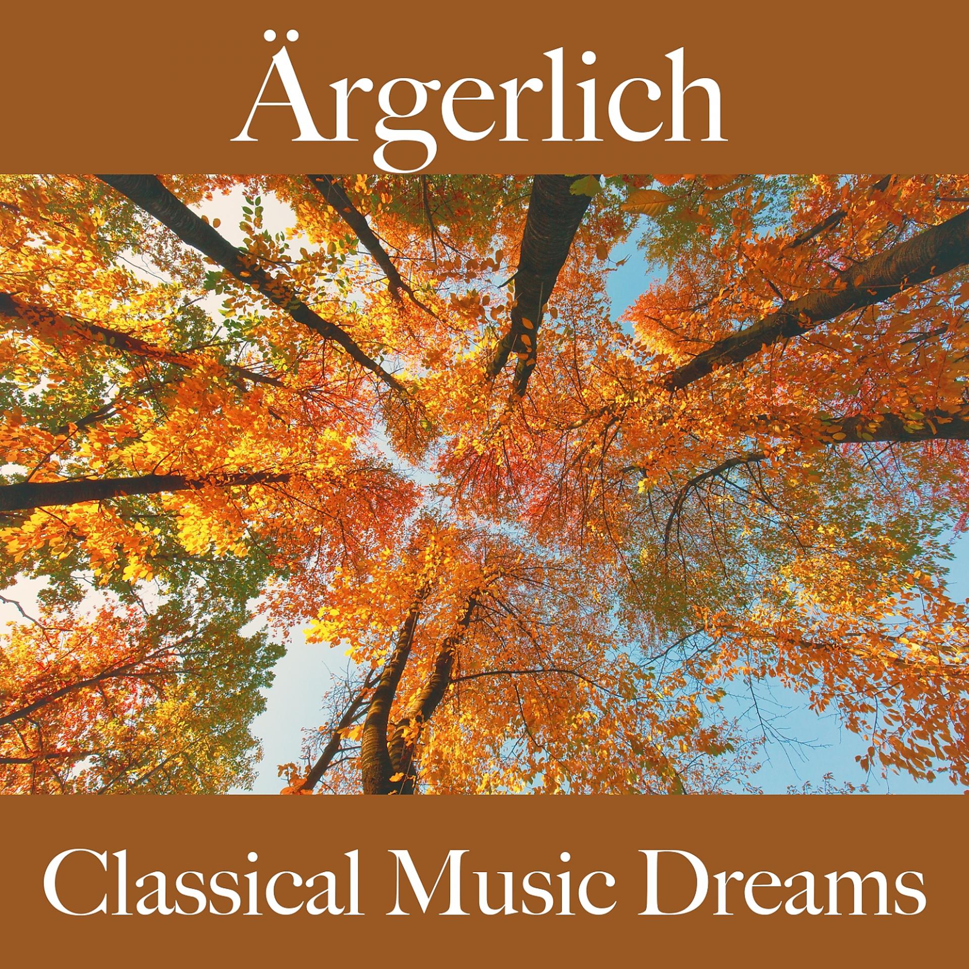 Постер альбома Ärgerlich: Classical Music Dreams - Die Beste Musik Um Sich Besser Zu Fühlen