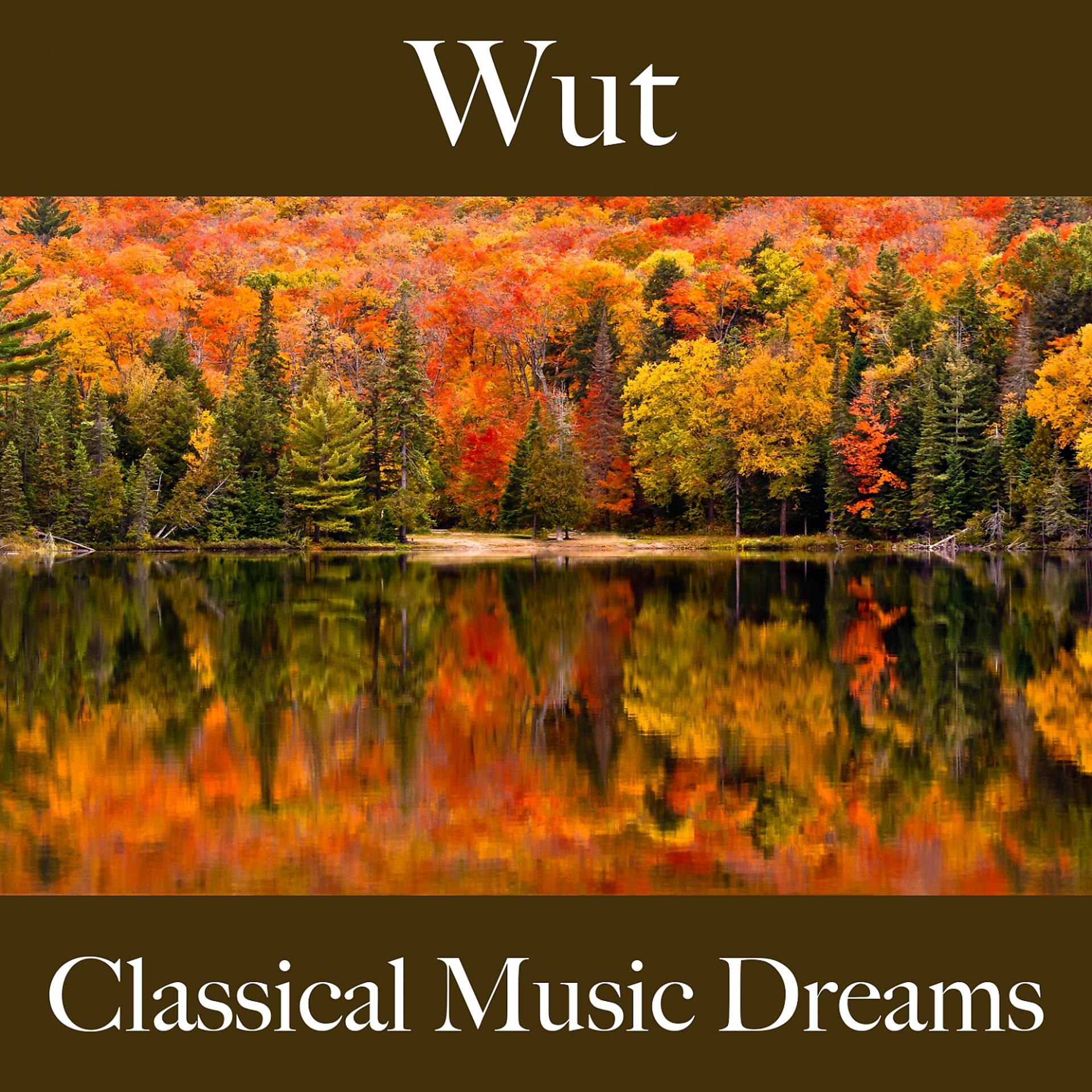 Постер альбома Wut: Classical Music Dreams - Die Beste Musik Um Sich Besser Zu Fühlen