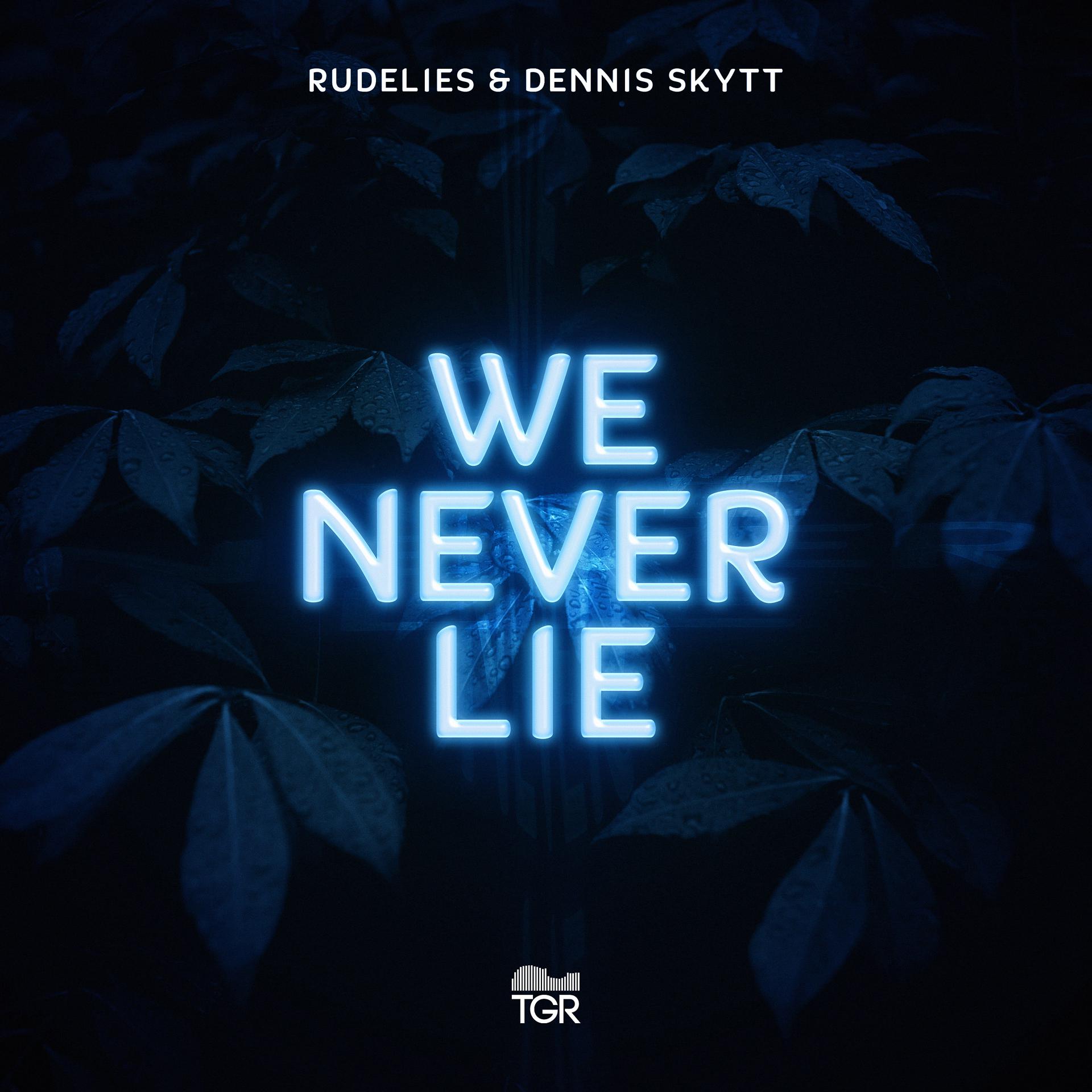 Постер альбома We Never Lie