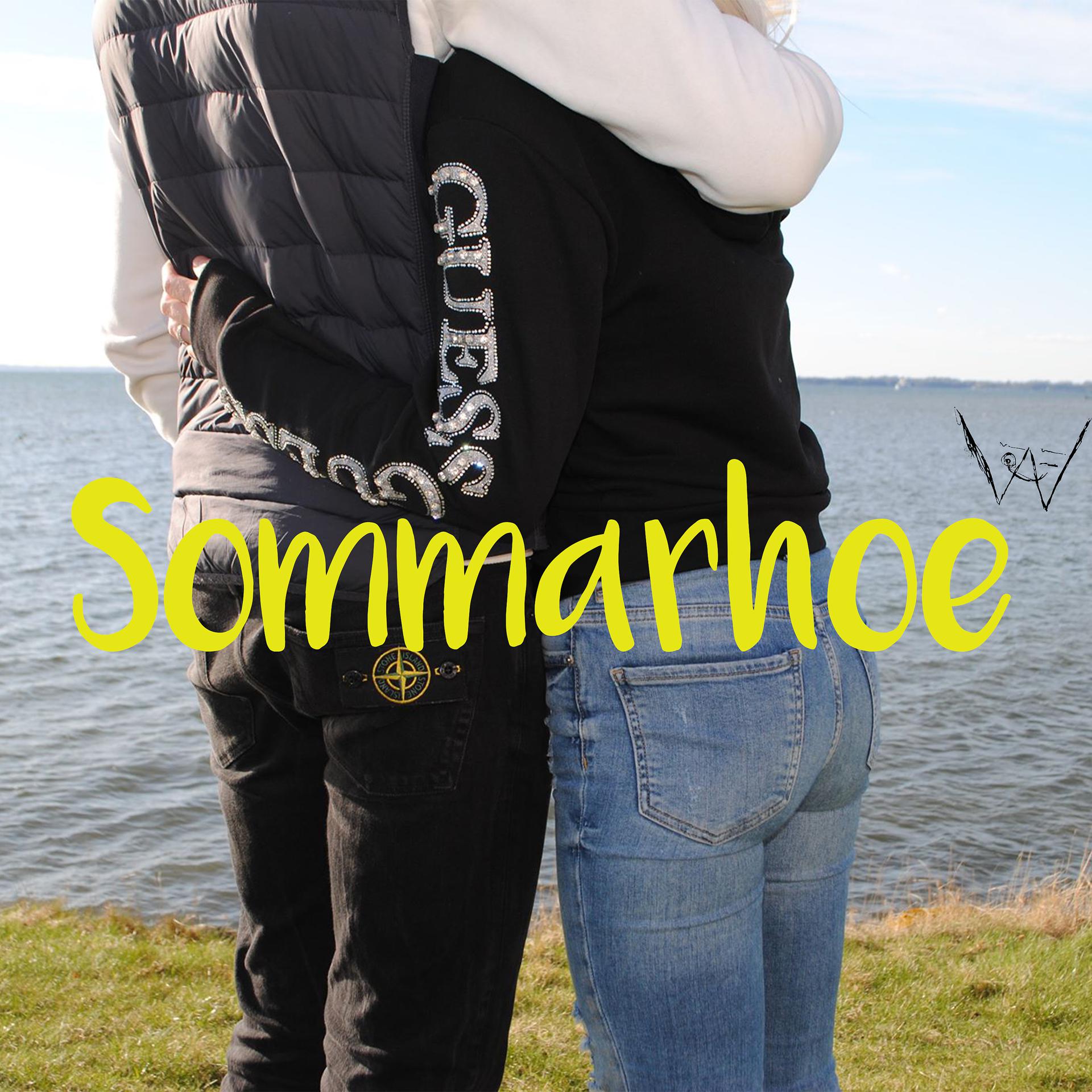 Постер альбома Sommarhoe