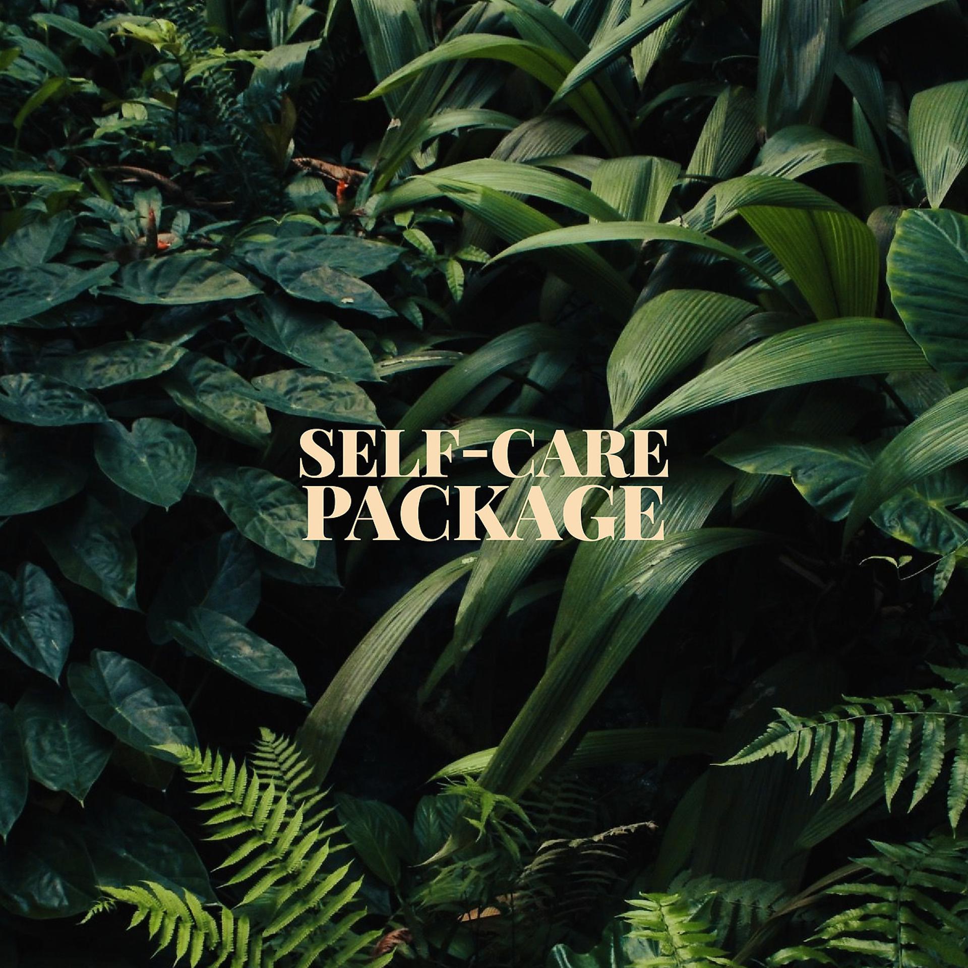 Постер альбома Self-Care Package