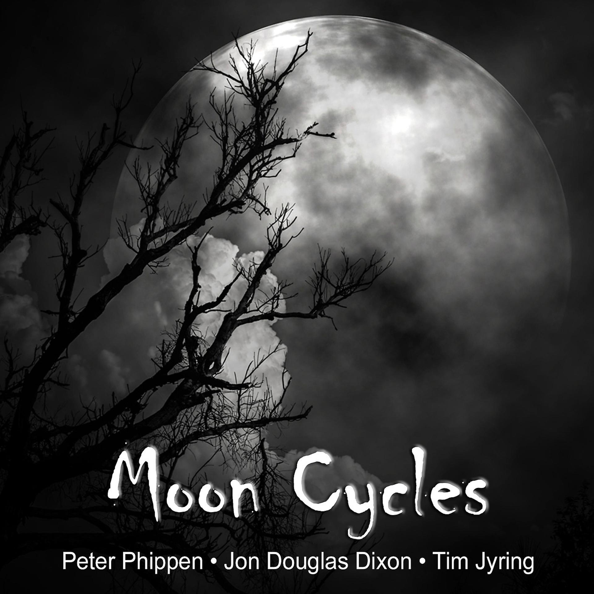 Постер альбома Moon Cycles