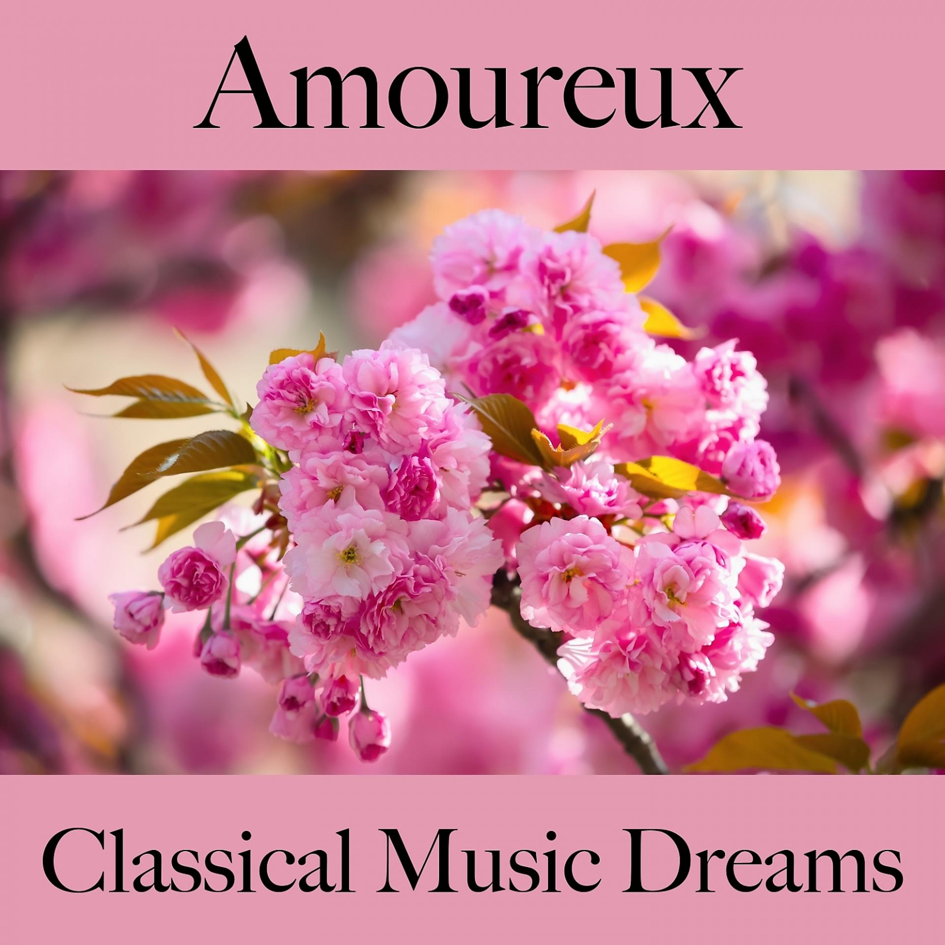 Постер альбома Amoureux: Classical Music Dreams - La Meilleure Musique Pour Les Moments À Deux