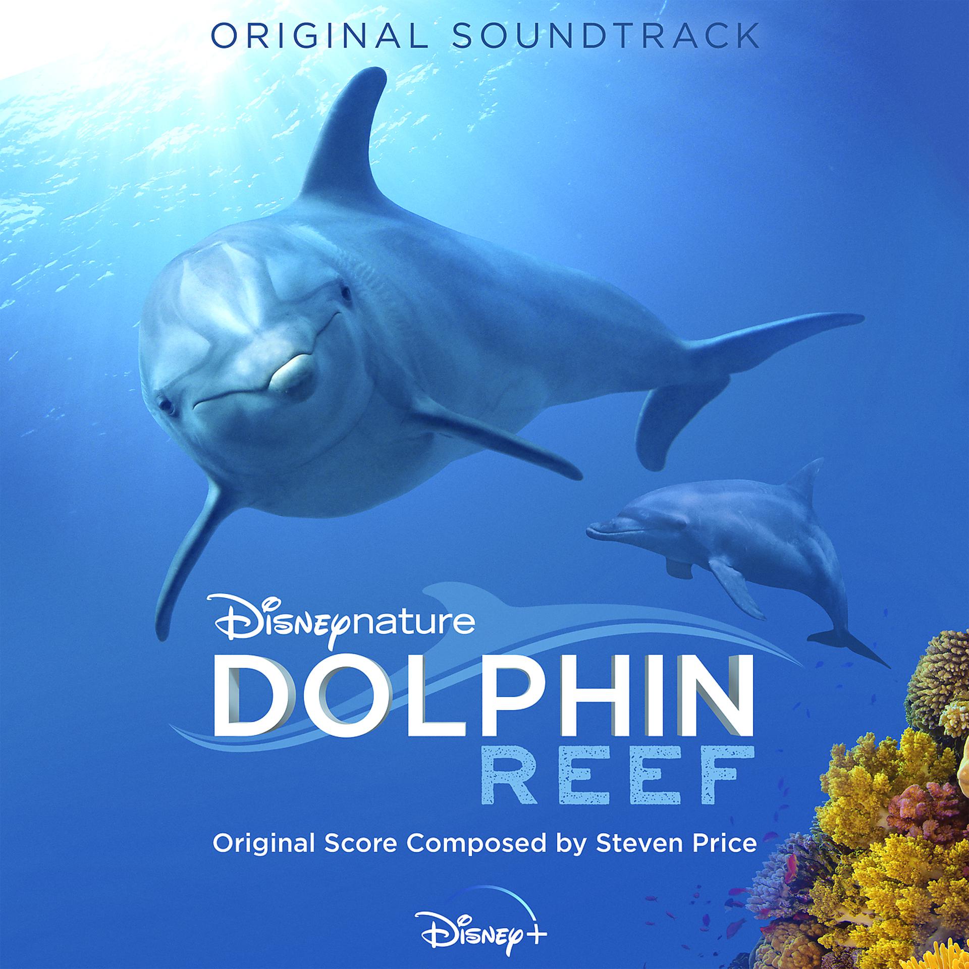 Постер альбома Dolphin Reef