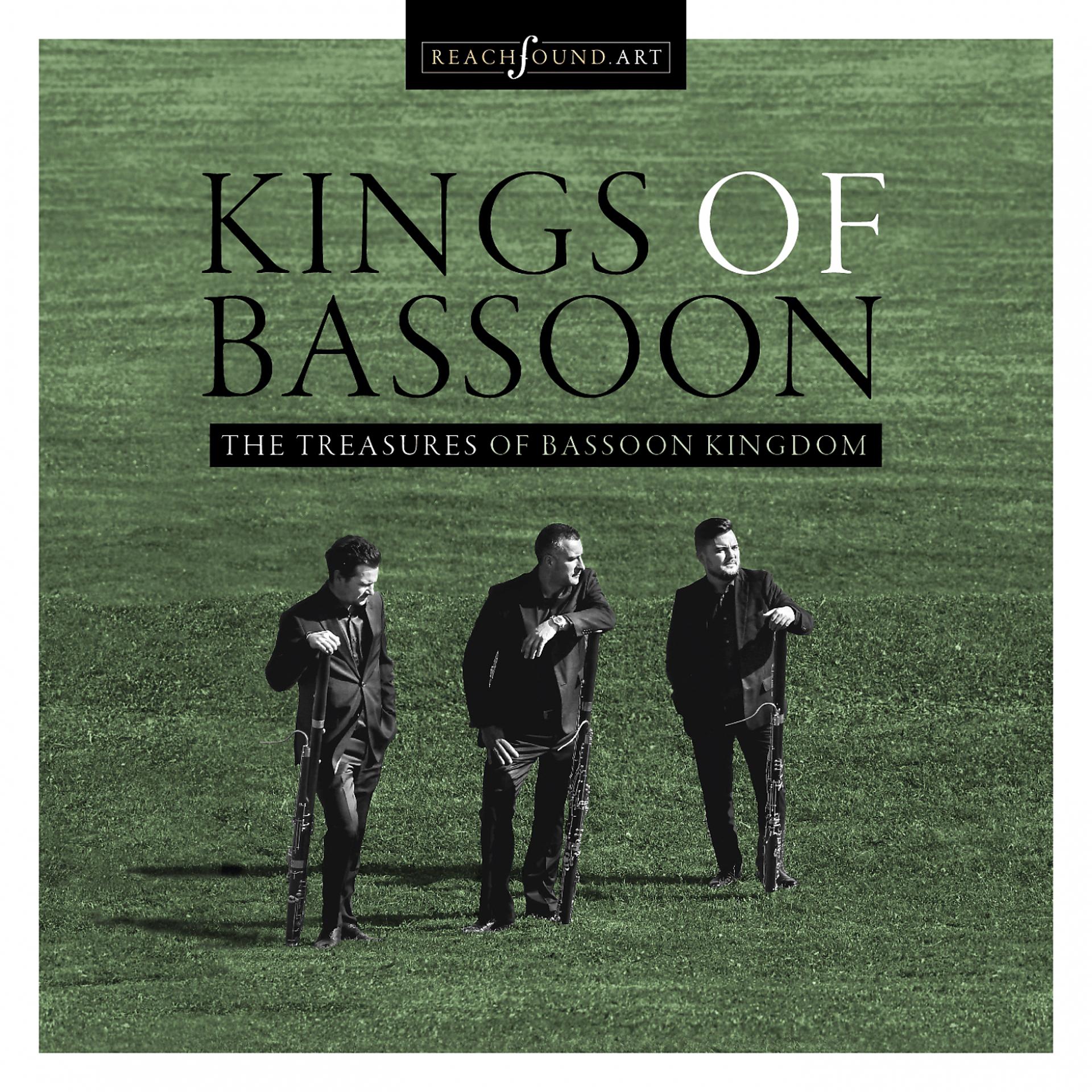 Постер альбома The Treasures of Bassoon Kingdom