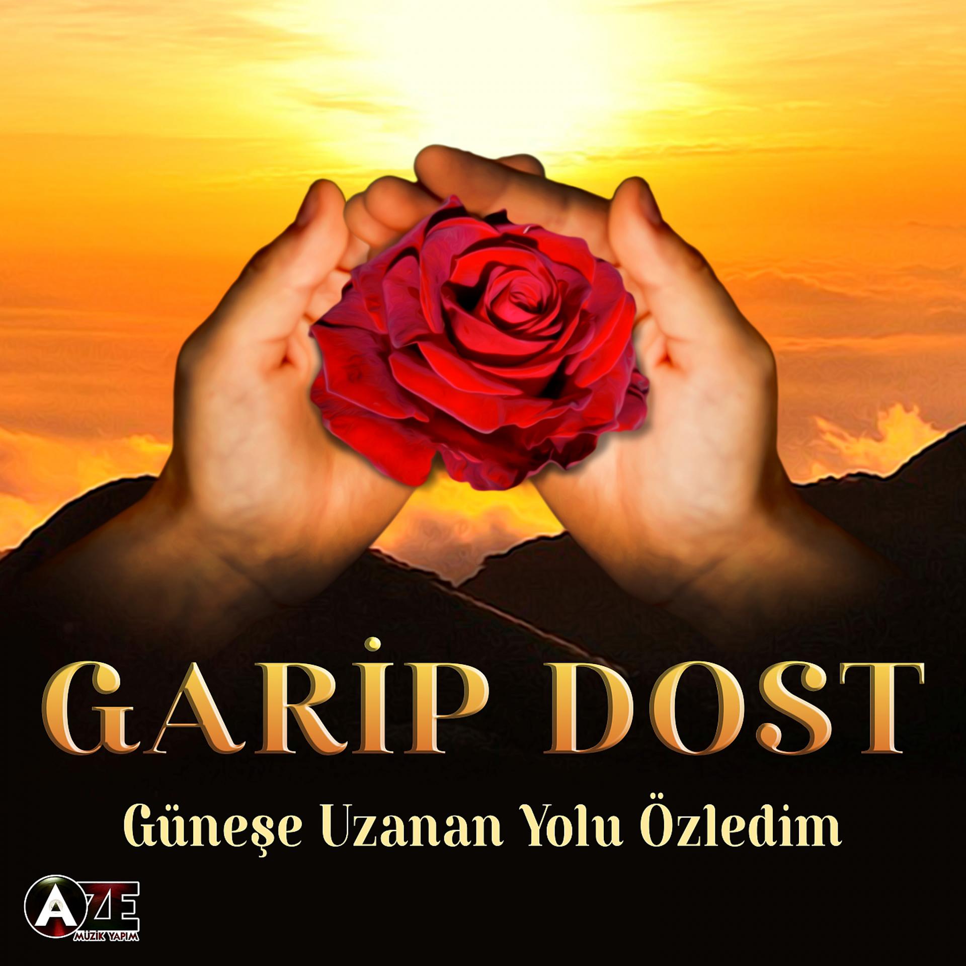 Постер альбома Güneşe Uzanan Yolu Özledim