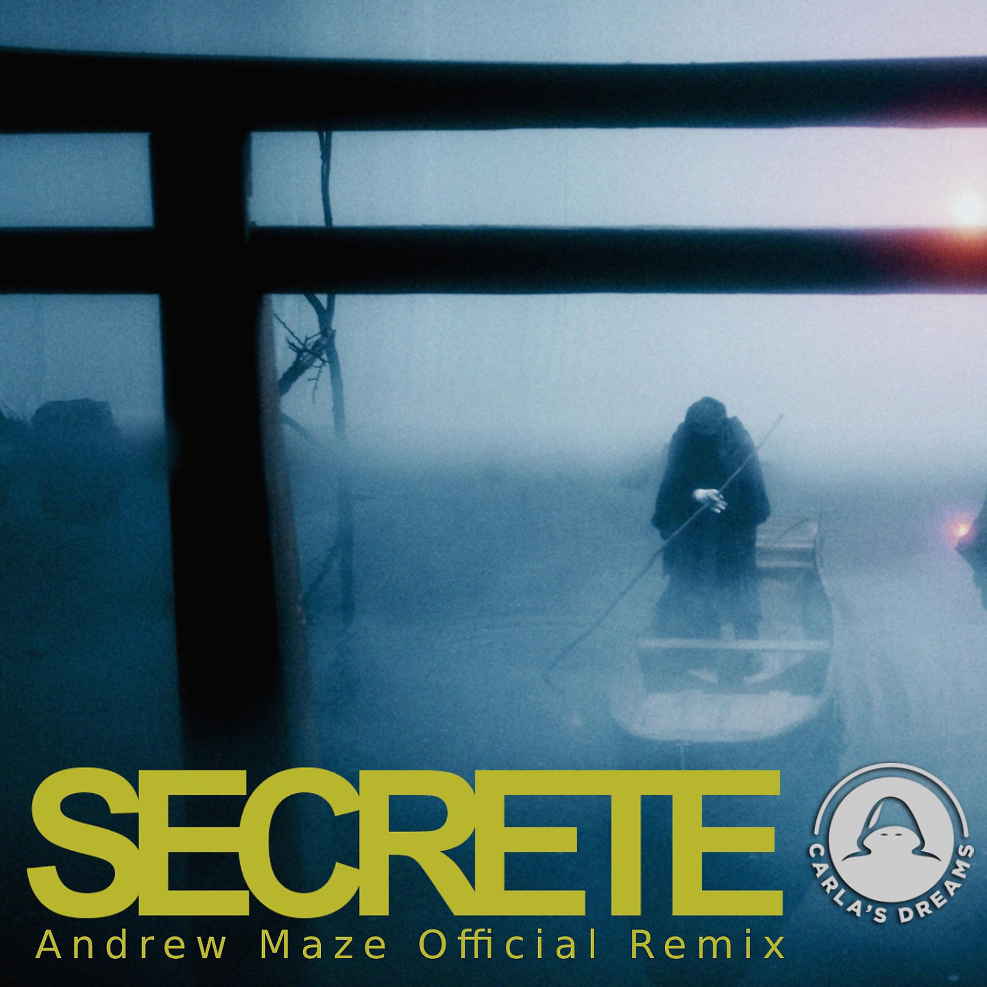 Постер альбома Secrete