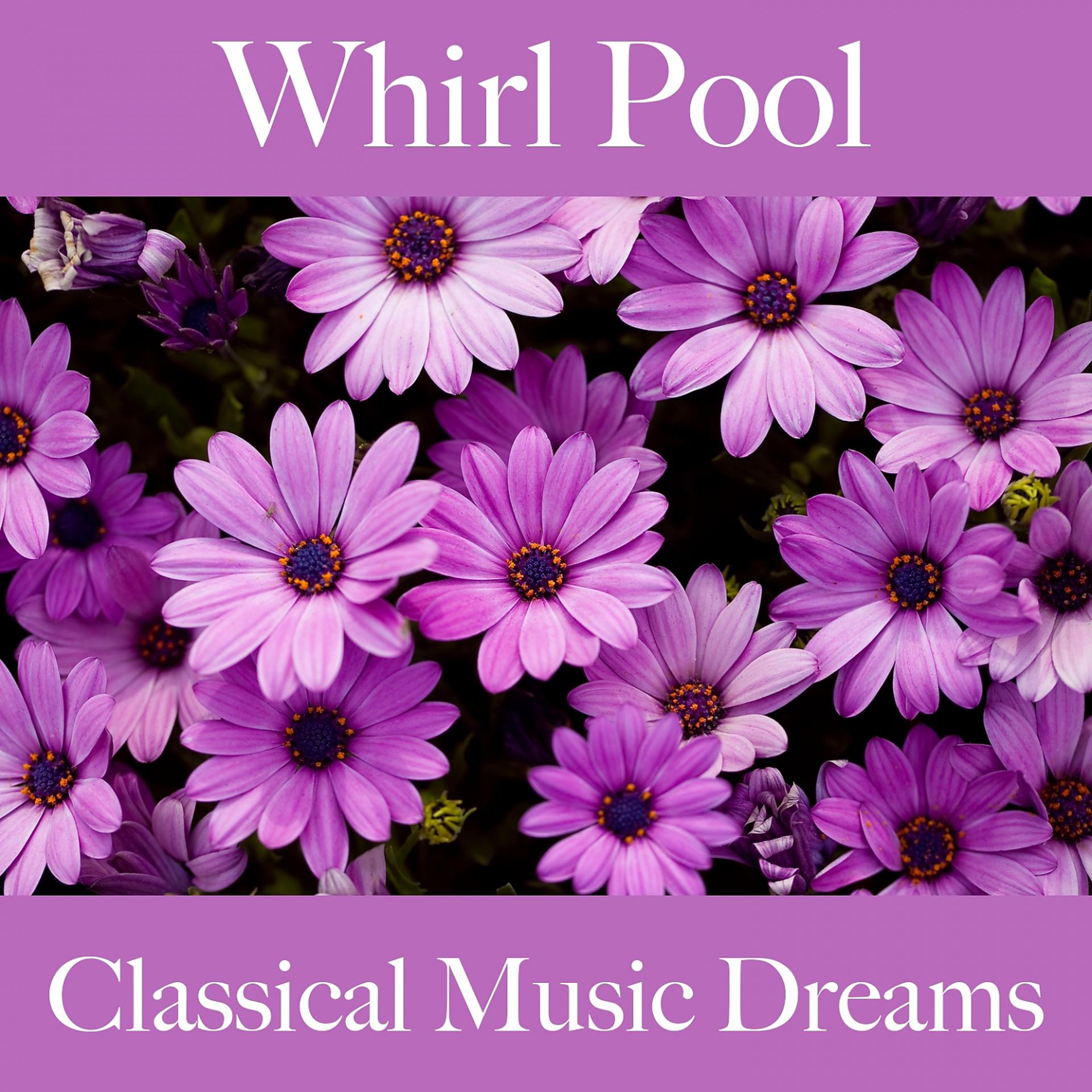 Постер альбома Whirl Pool: Classical Music Dreams - Die Besten Sounds Zum Entspannen
