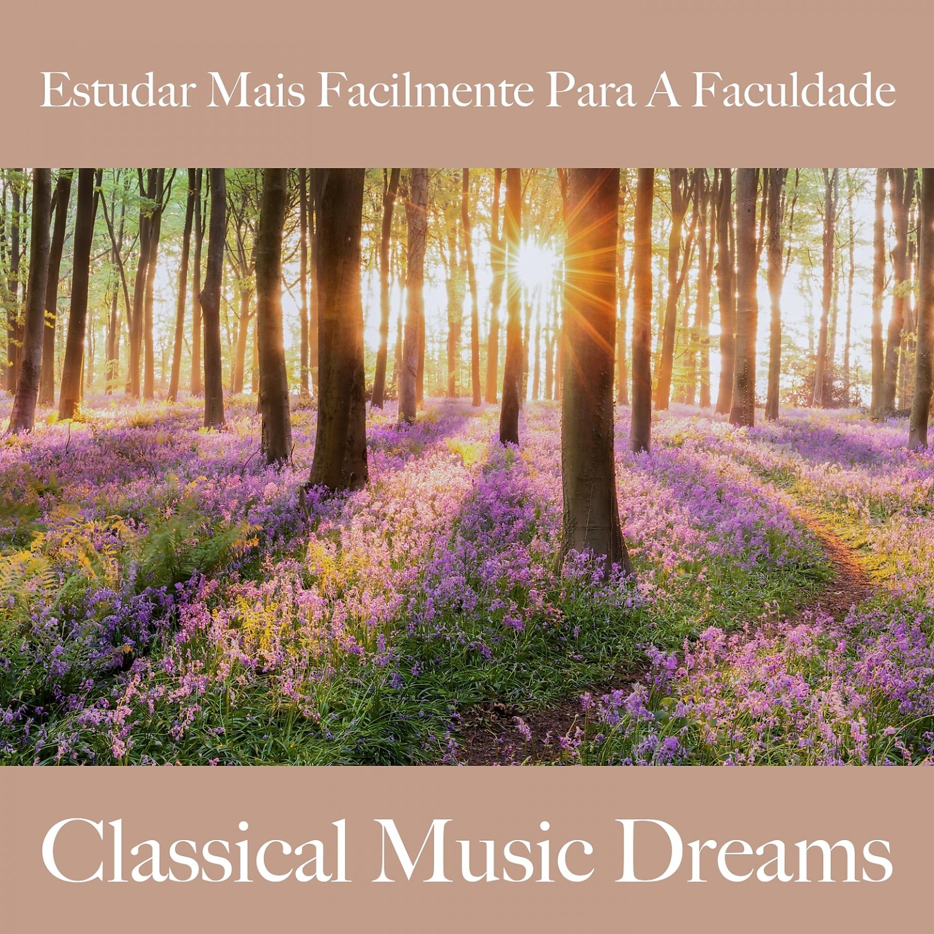 Постер альбома Estudar Mais Facilmente Para A Faculdade: Classical Music Dreams - A Melhor Música Para Relaxar