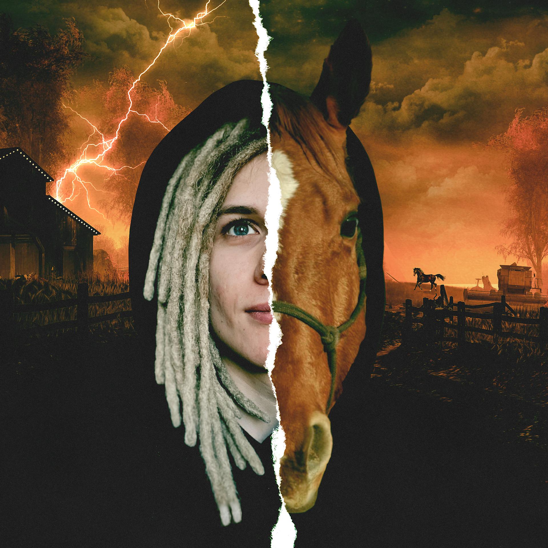 Постер альбома Я лошадка
