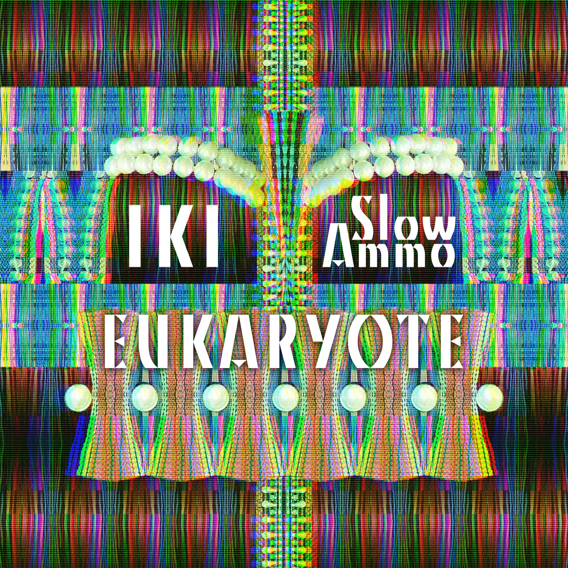 Постер альбома Eukaryote - Remixed