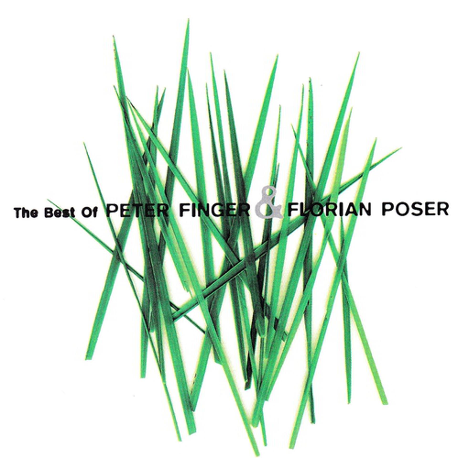 Постер альбома The Best of Peter Finger & Florian Poser