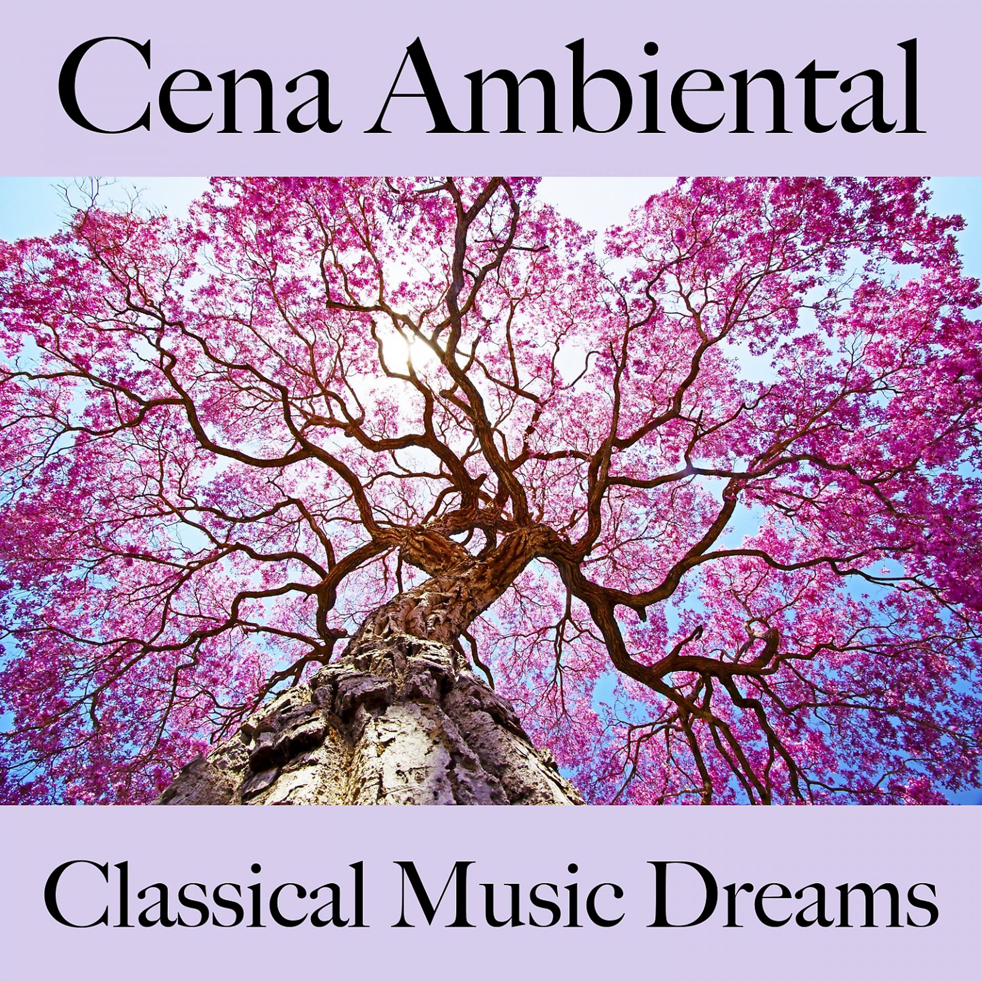 Постер альбома Cena Ambiental: Classical Music Dreams - Los Mejores Sonidos Para Descancarse