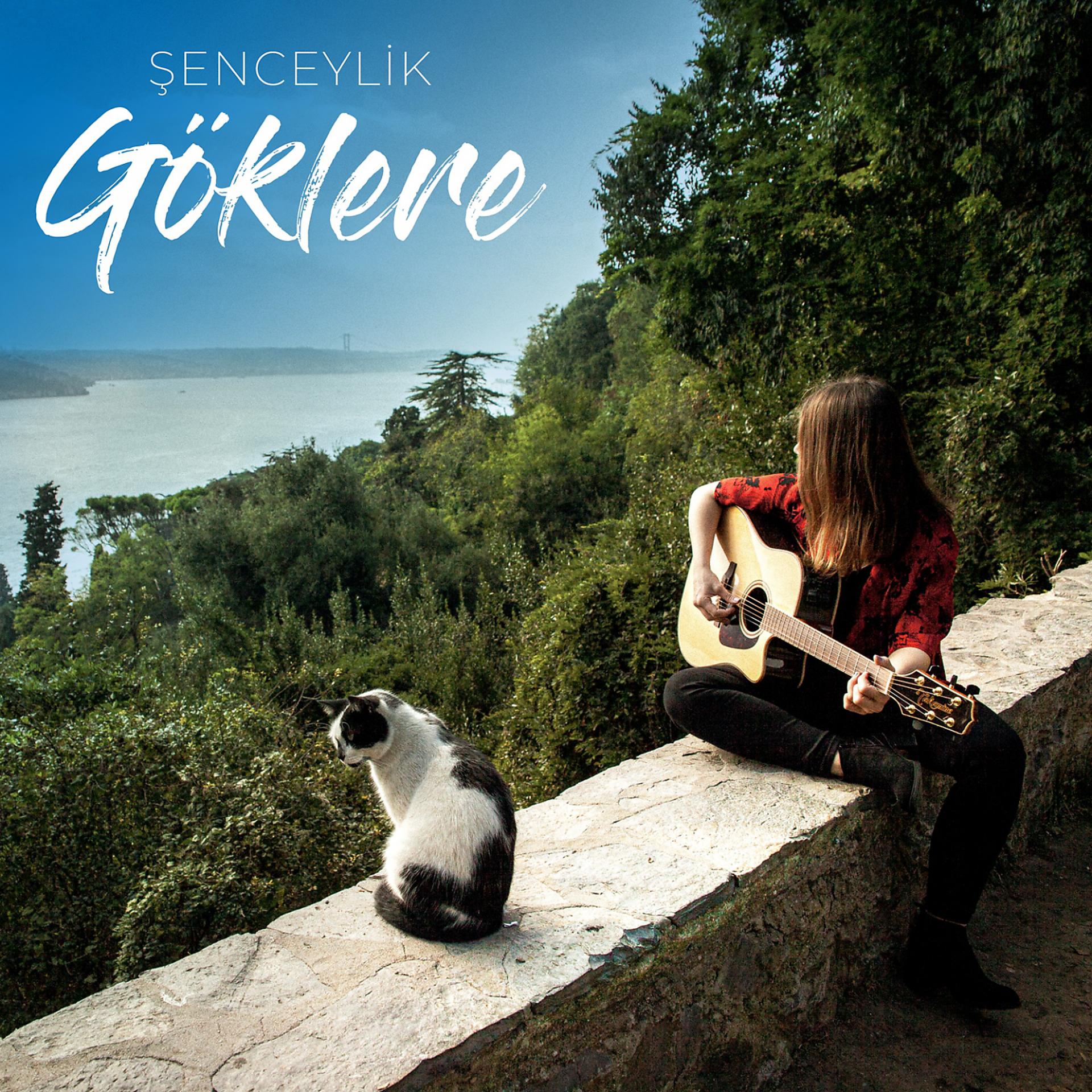 Постер альбома Göklere